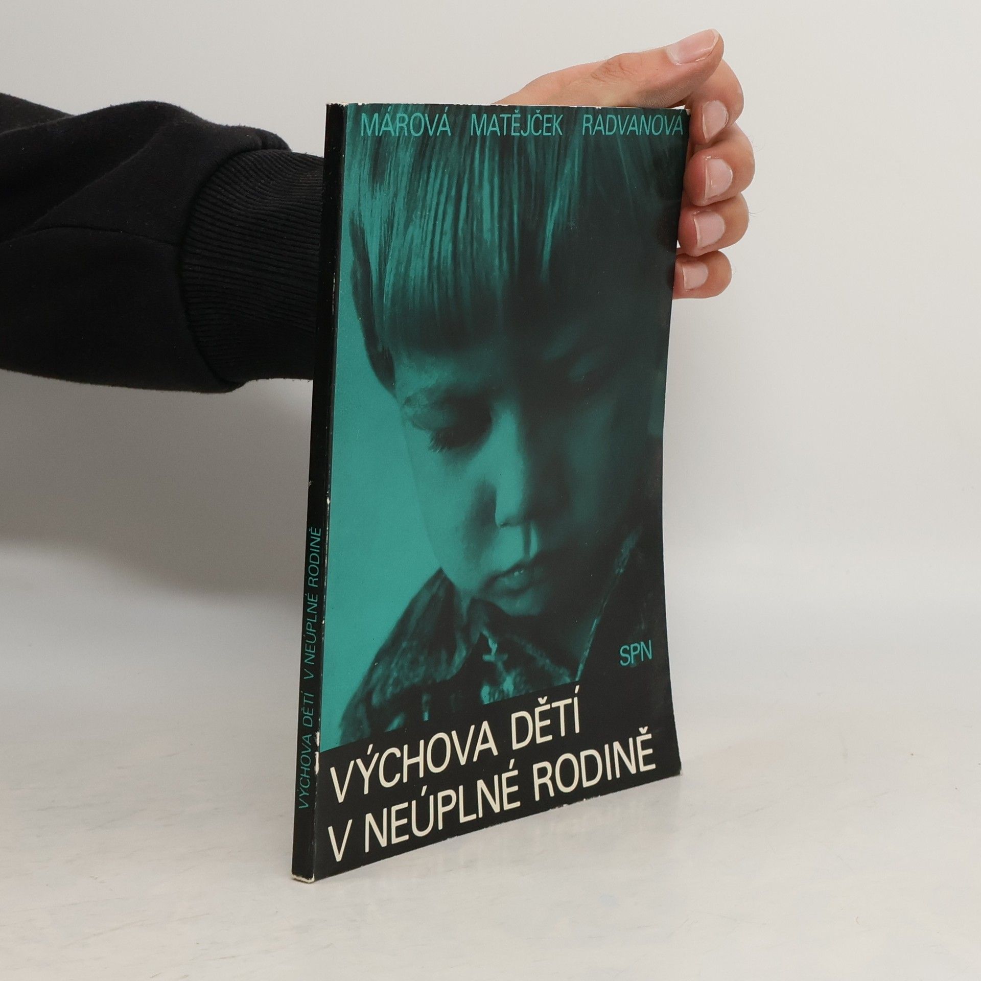 Autorenkollektiv Výchova dětí v neúplné rodině