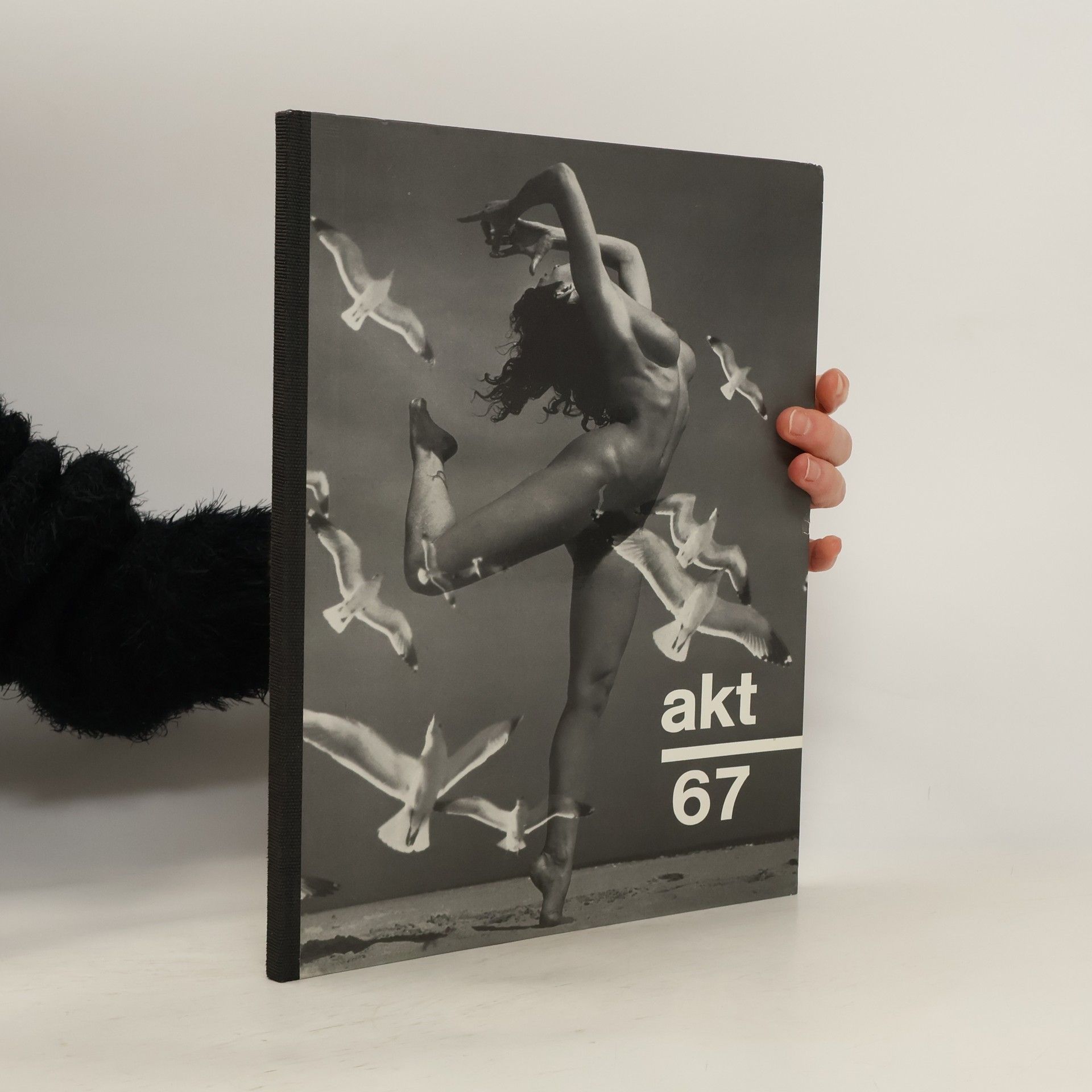 Autorenkollektiv Akt 67