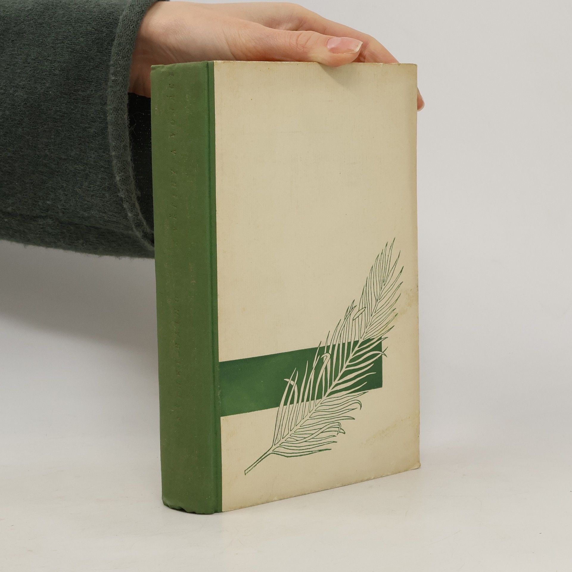 Vlasta Hilská Květiny a vojáci