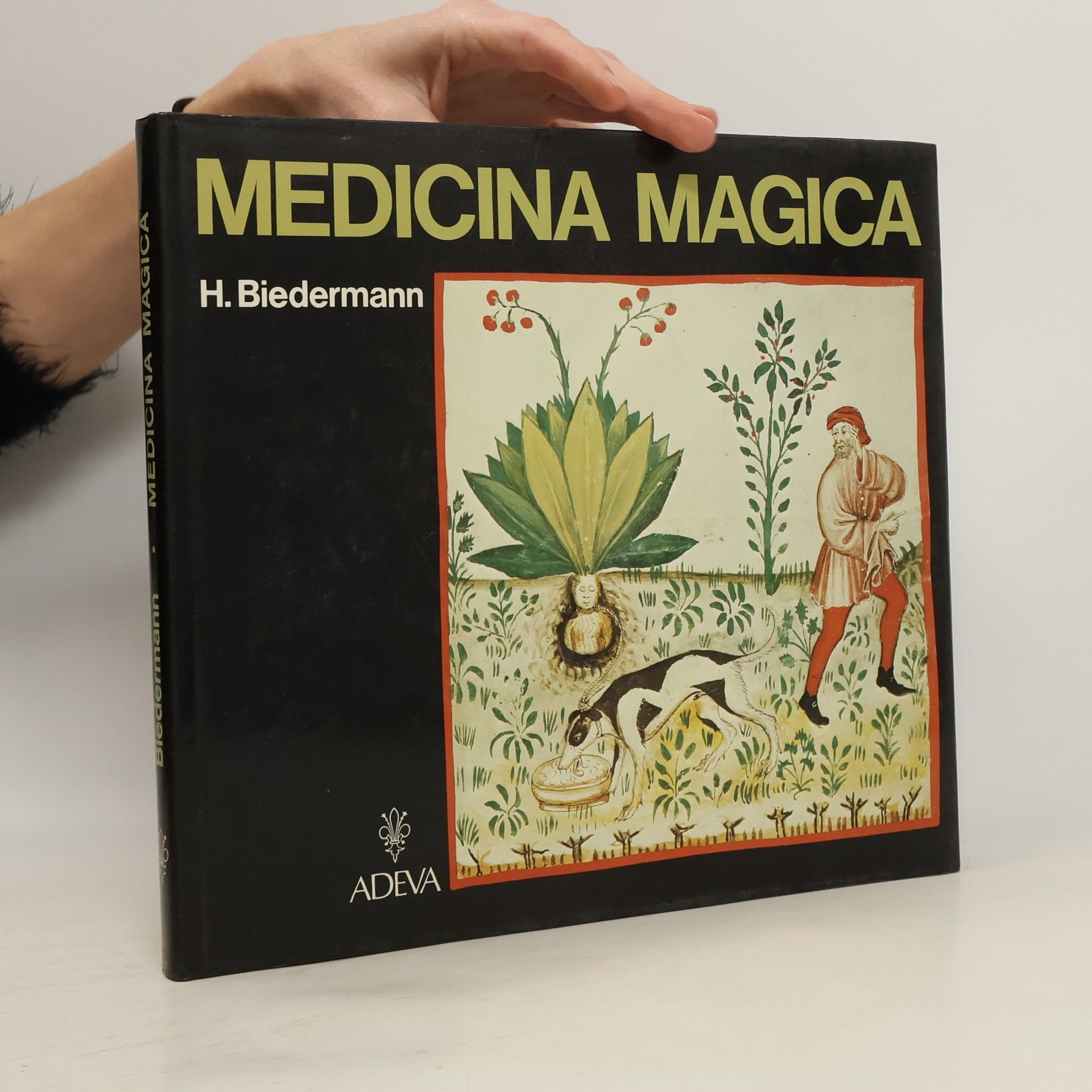 Hans Biedermann Medicina magica