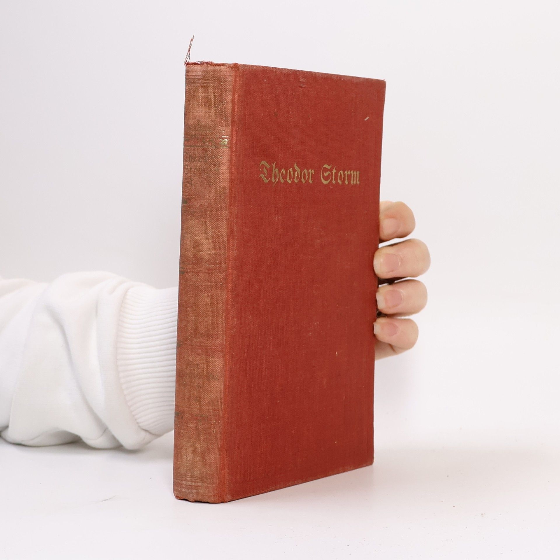 Theodor Storm Theodor Storms Werke VII