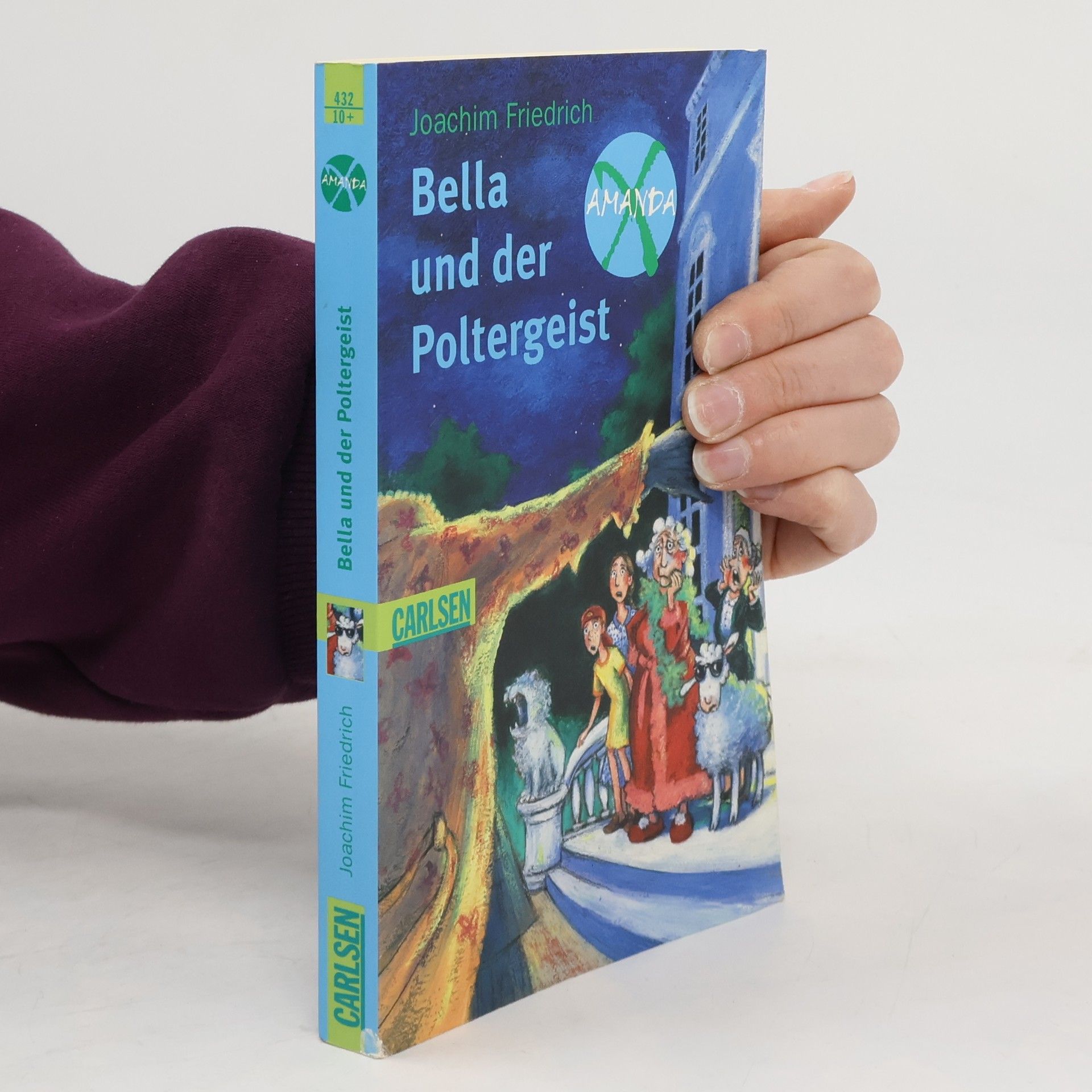 Joachim-Friedrich Kapp Bella und der Poltergeist. Amanda X