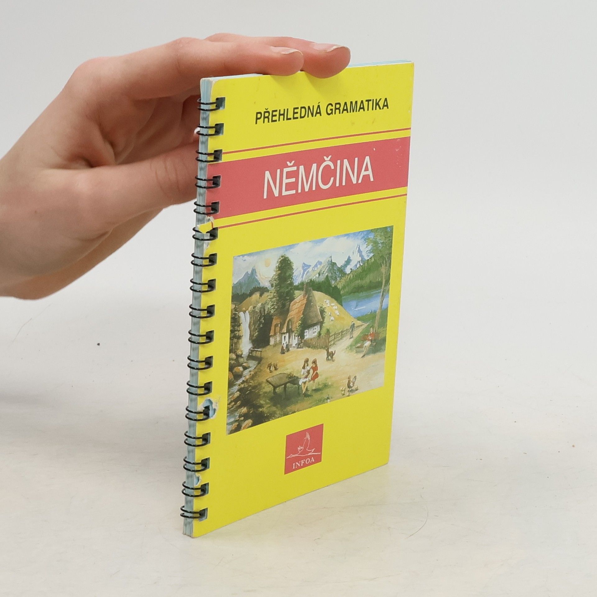 Němčina. Přehledná gramatika