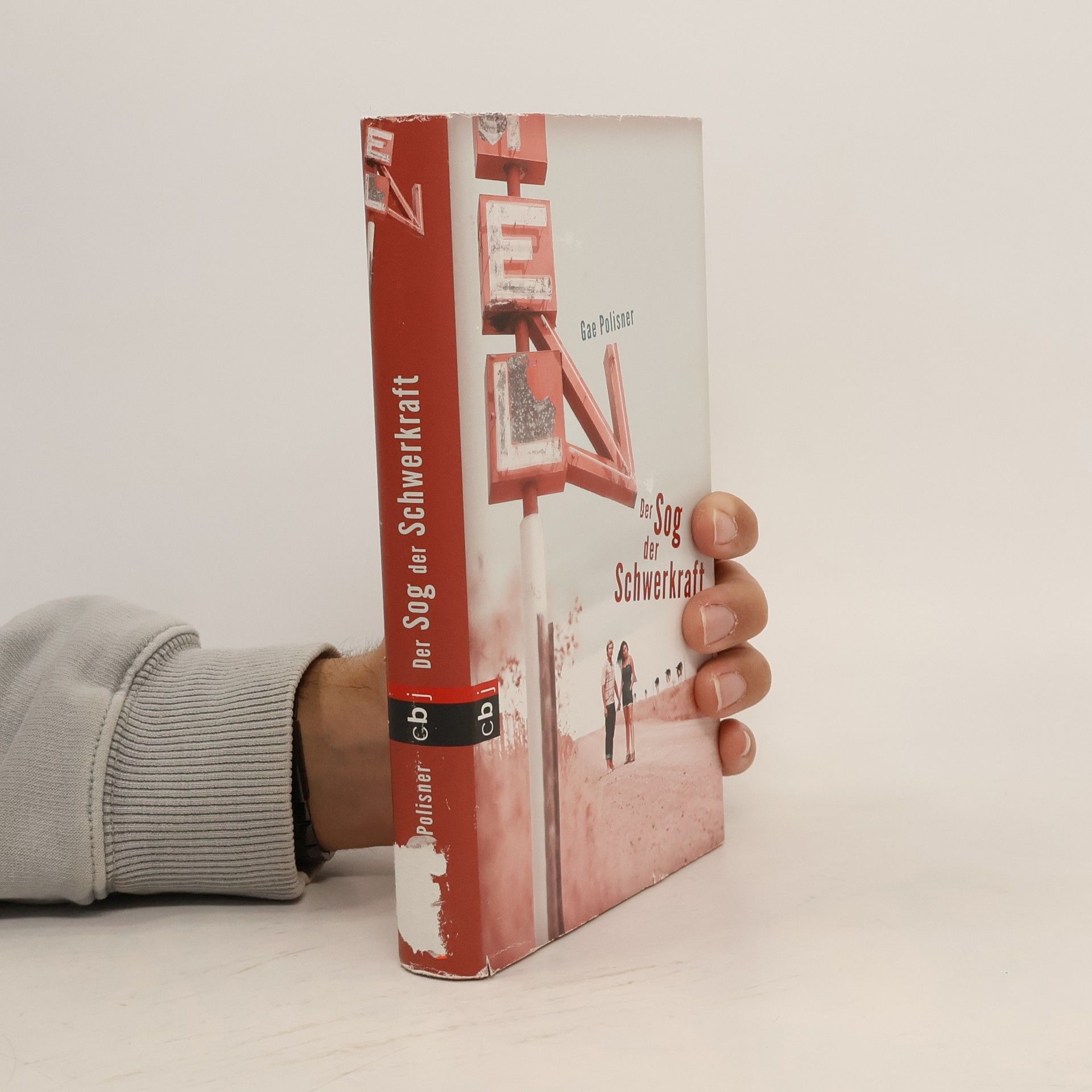 Gae Polisner Der Sog der Schwerkraft