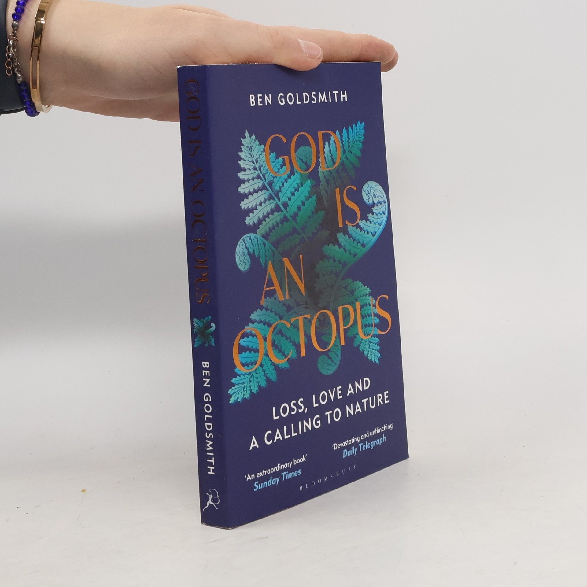 Ben Goldsmith God Is An Octopus