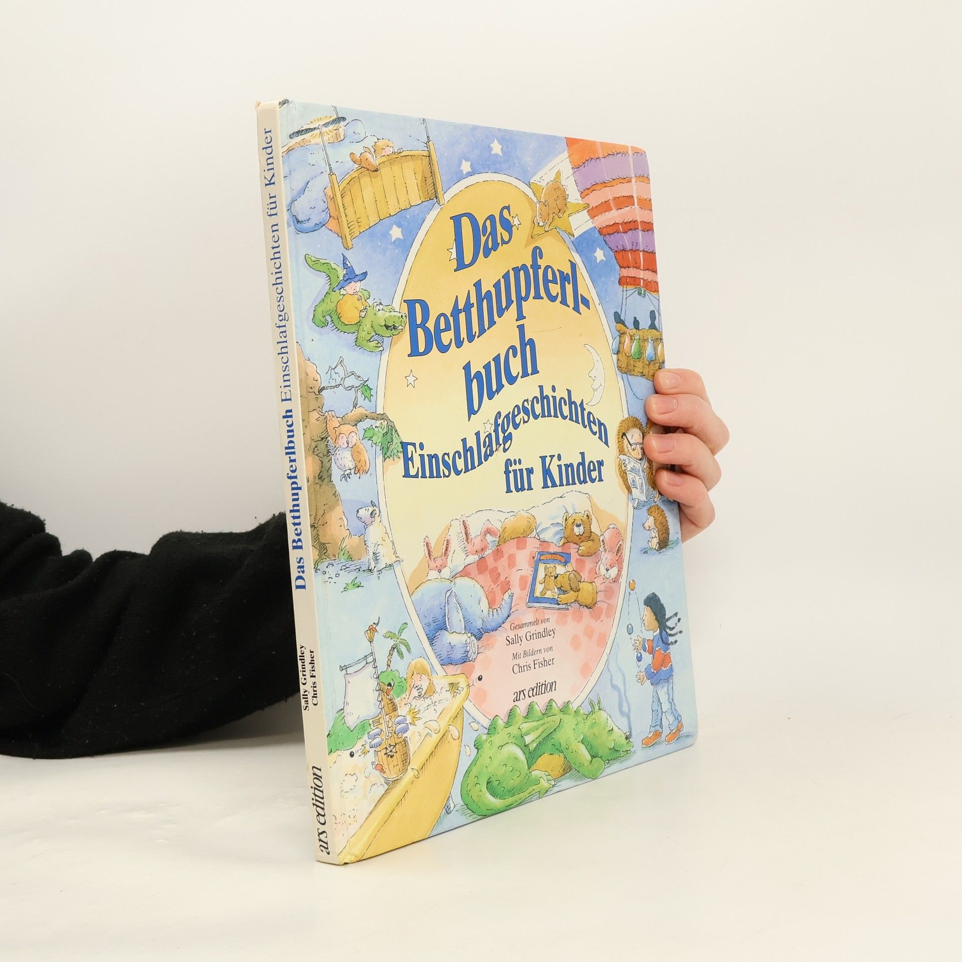 Sally Grindley Das Betthupferlbuch