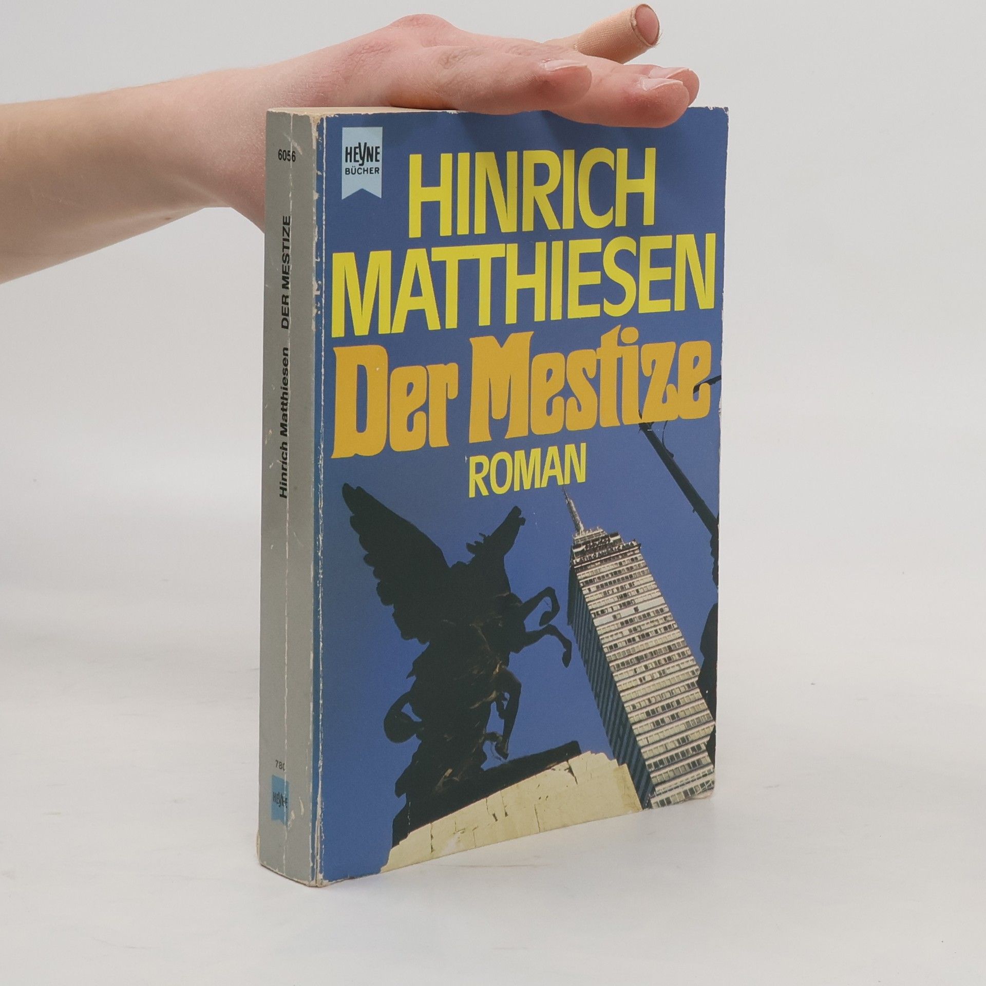 Hinrich Matthiesen Der Mestize