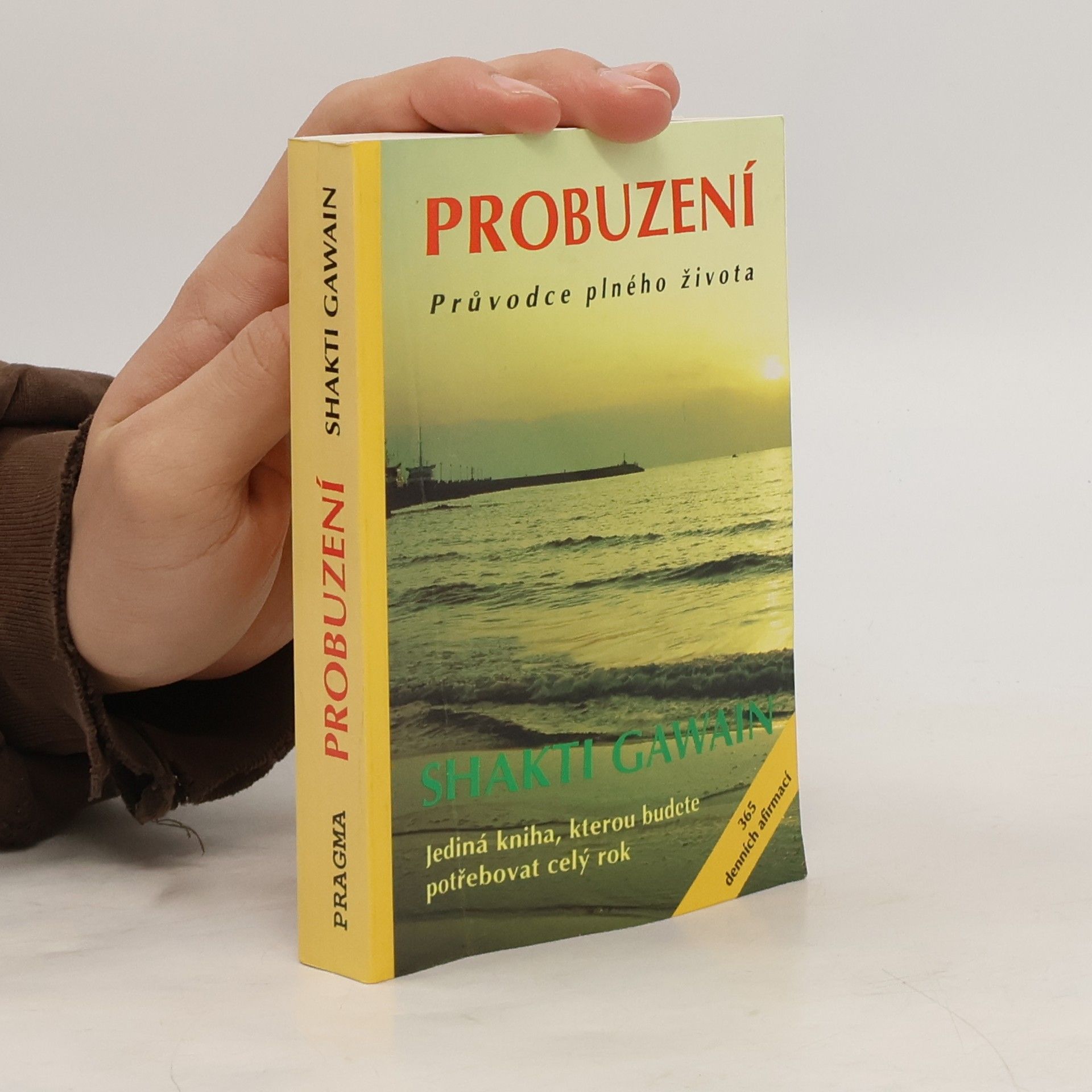 Probuzení. Průvodce plného života