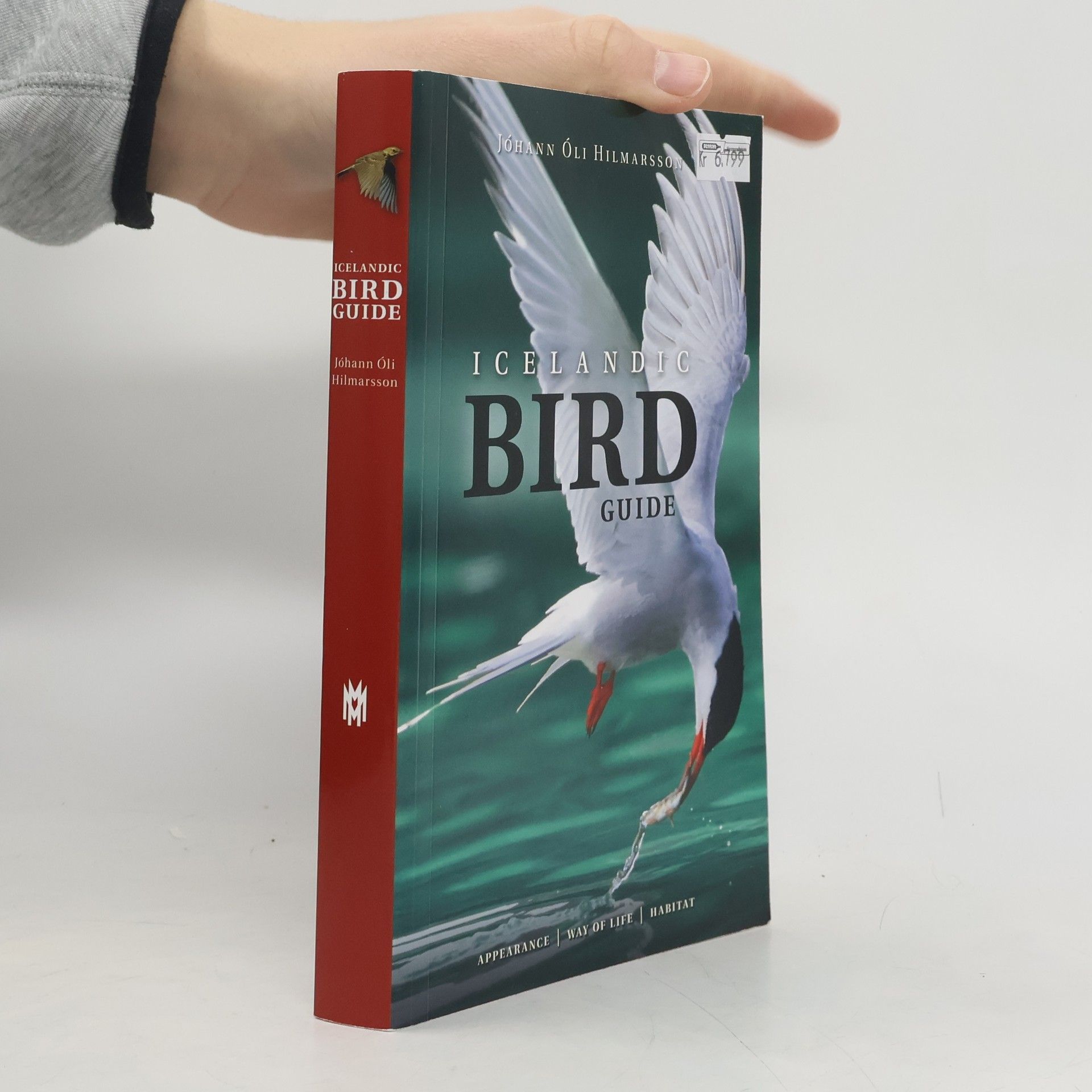 Jóhann Óli Hilmarsson Icelandic Bird Guide