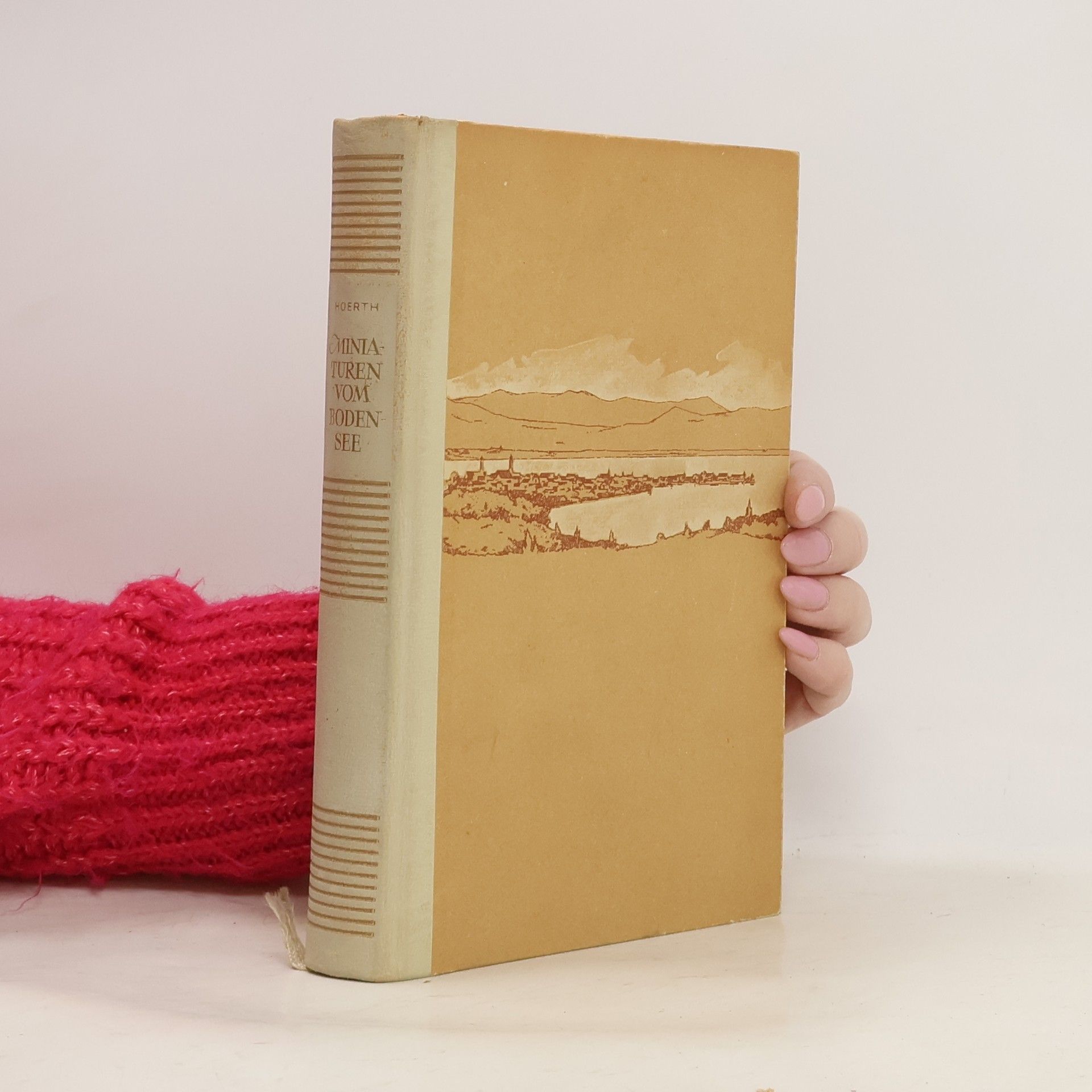 Miniaturen vom Bodensee