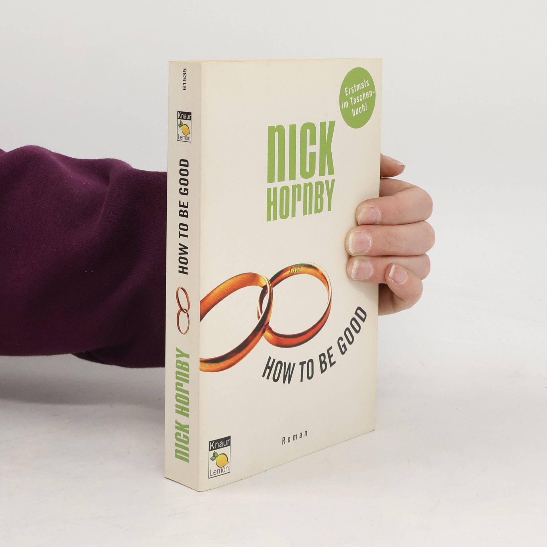 Nick Hornby How to Be Good