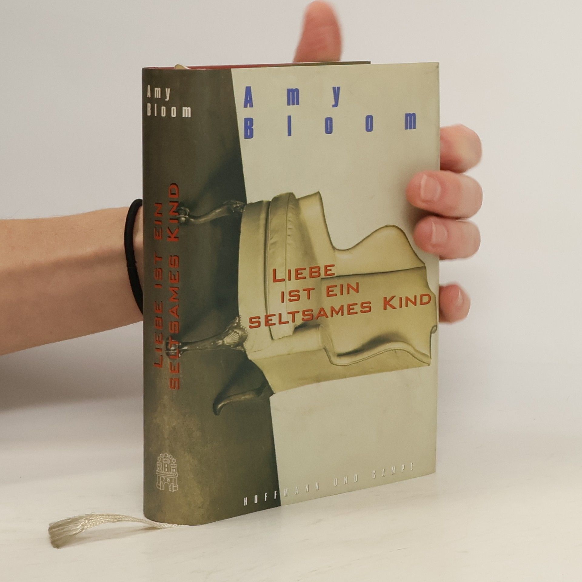 Liebe ist ein seltsames Kind. Erzählungen