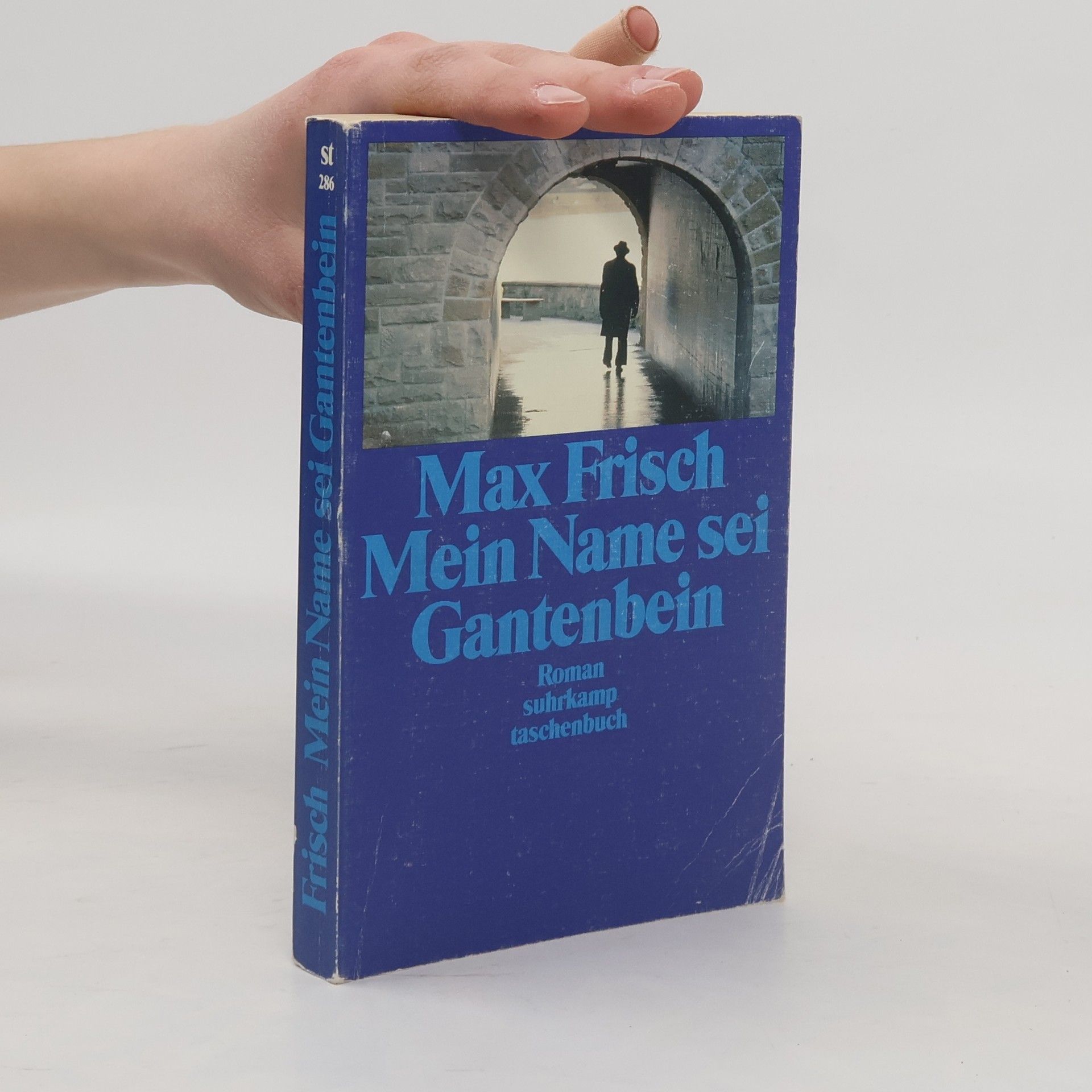 Max Frisch Mein Name sei Gantenbein