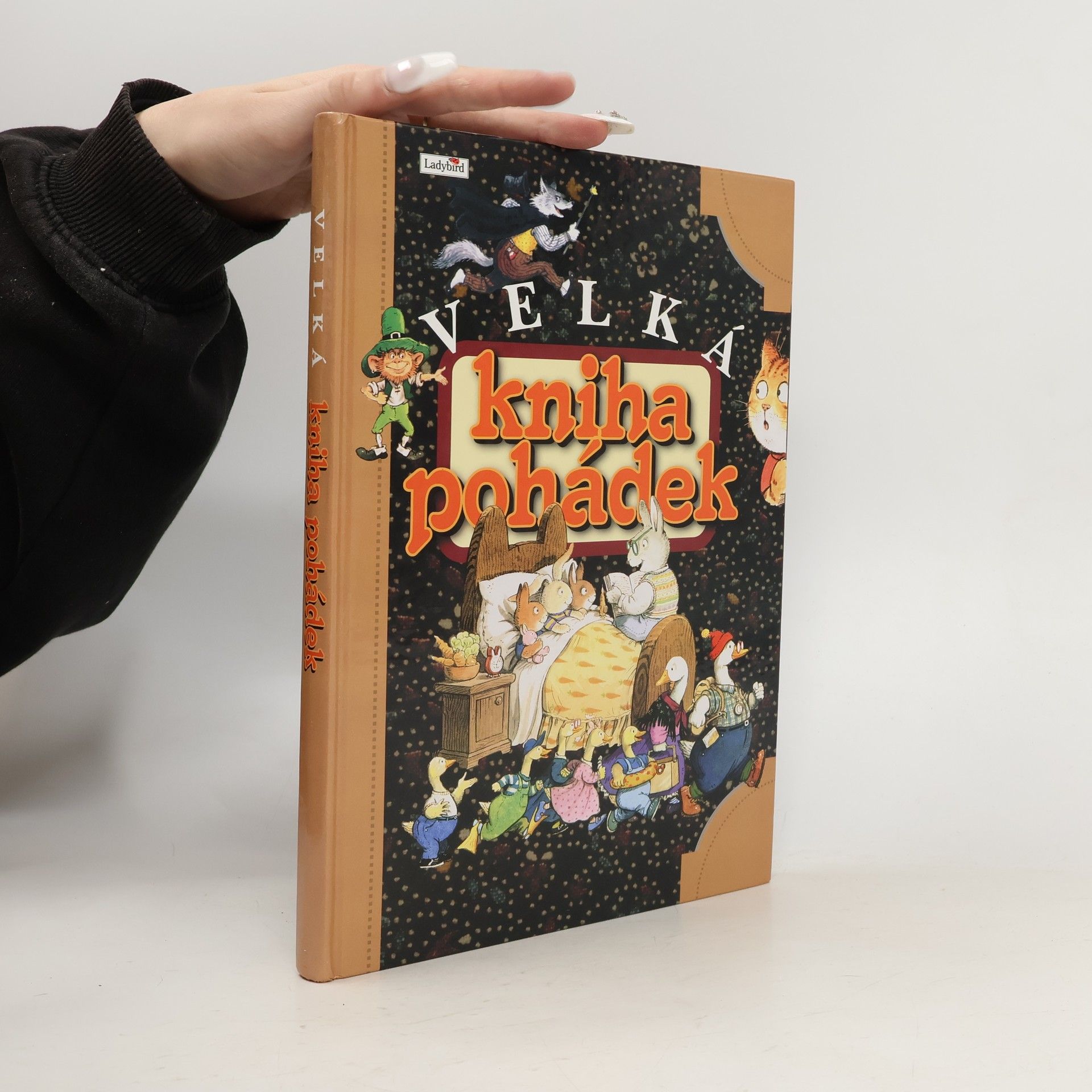 Collectif d'auteurs Velká kniha pohádek