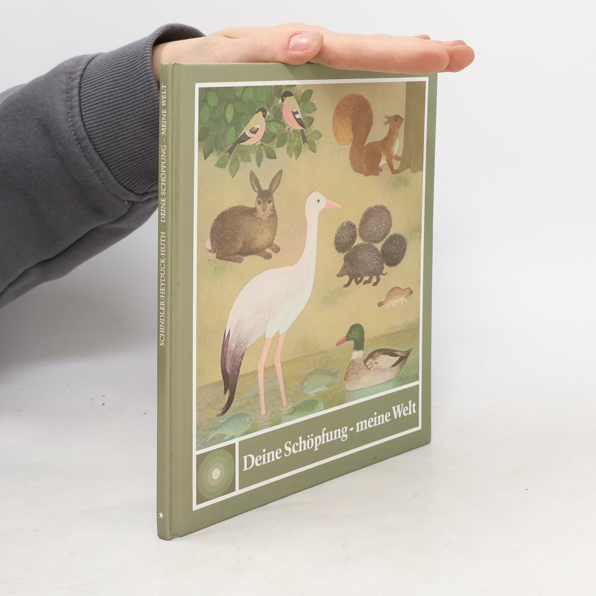 Autorenkollektiv Deine Schöpfung - meine Welt