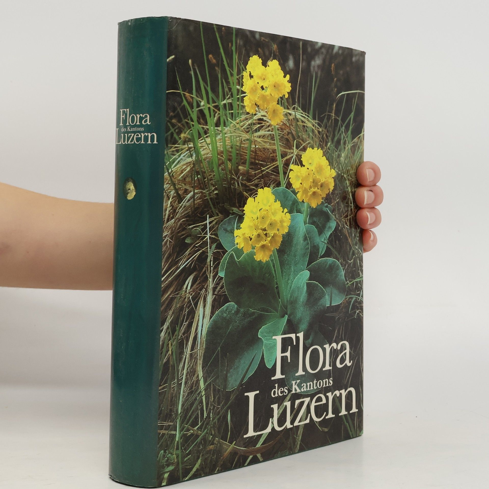 Autorenkollektiv Flora des Kantons Luzern unter Berücksichtigung von Rigi, Bürgenstock, Lopper, Pilatus sowie der angrenzenden Flyschgebiete Obwaldens.