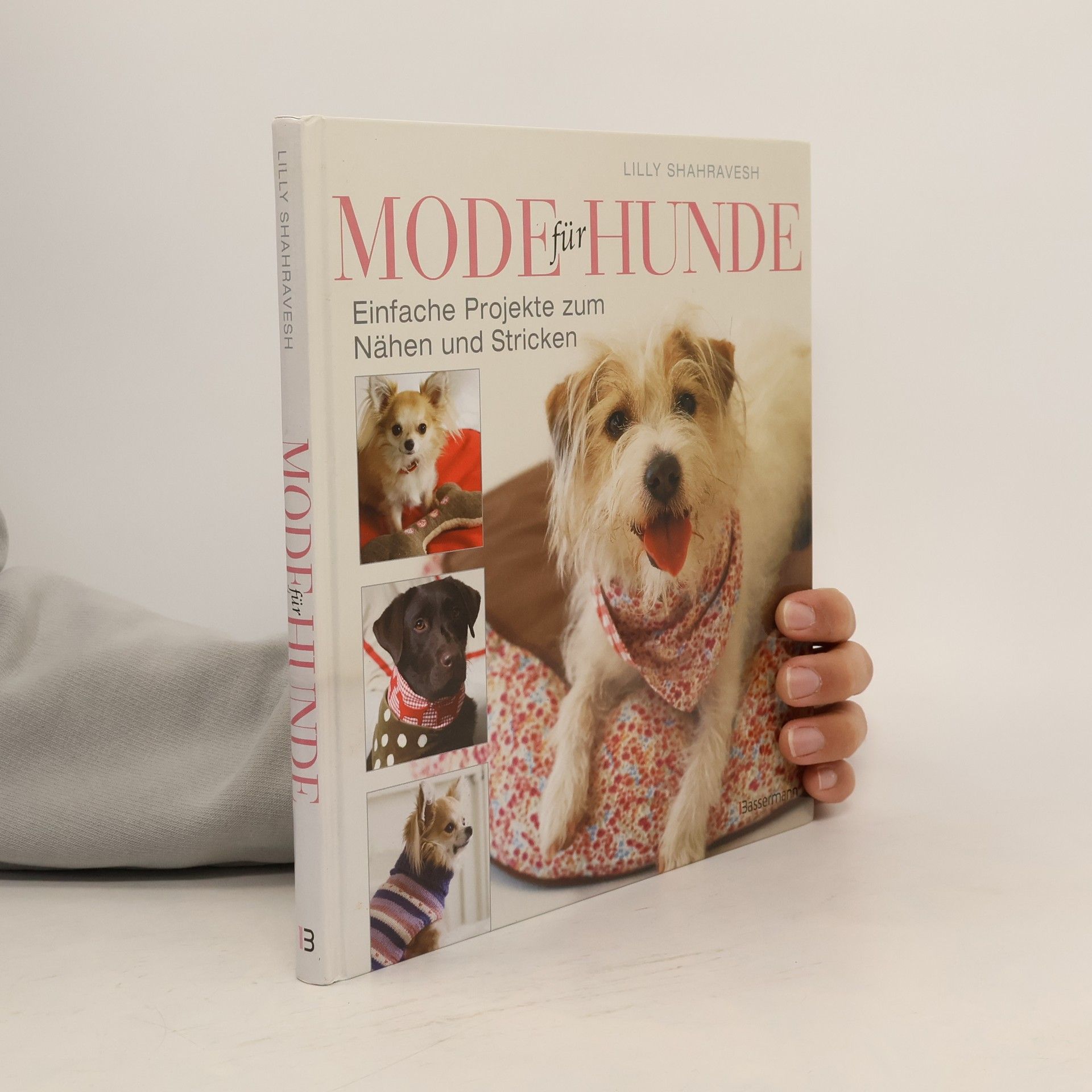 Lilly Shahravesh Mode für Hunde