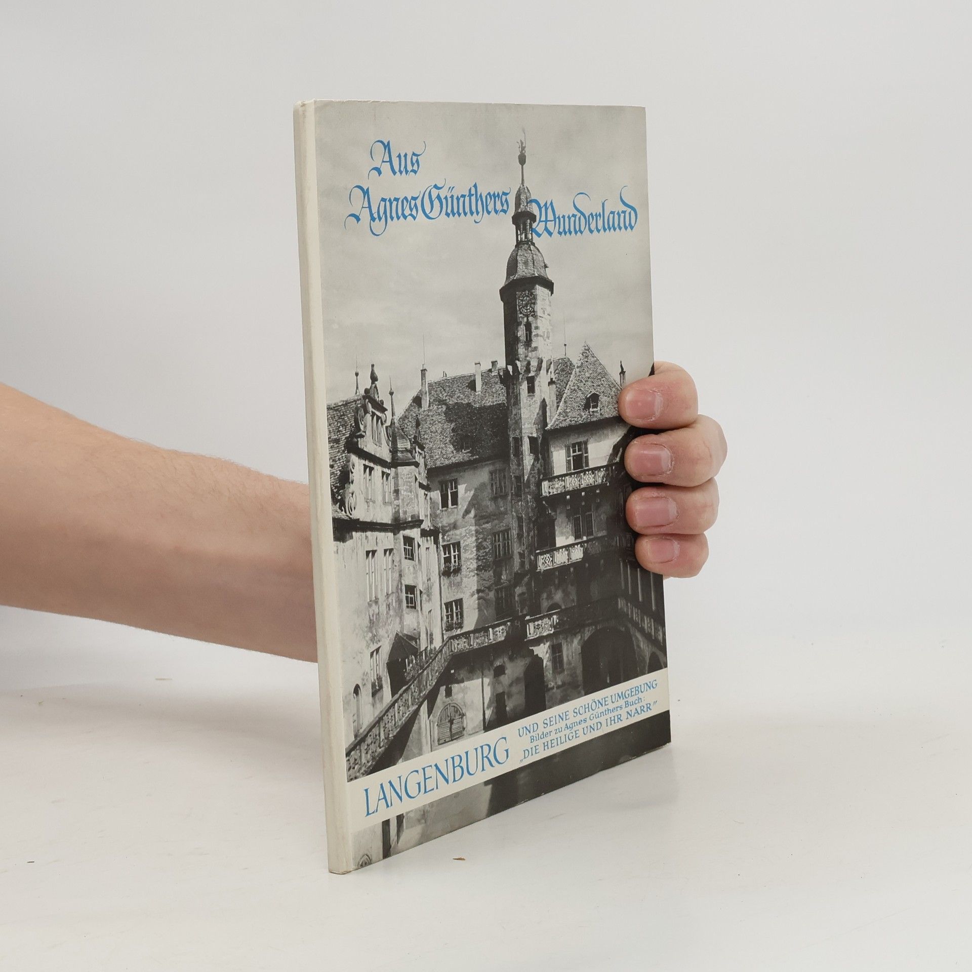 Kolektiv autorů Aus Agnes Günthers Wunderland