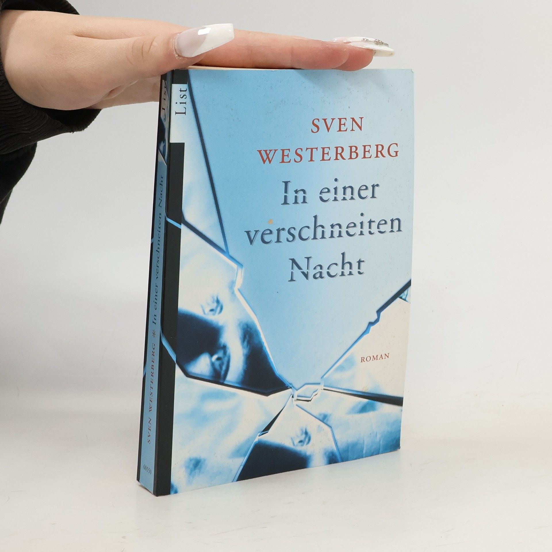 In einer verschneiten Nacht. Roman