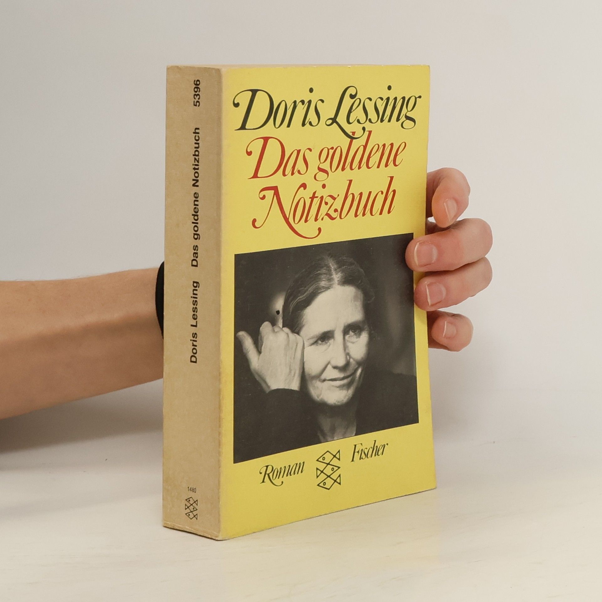 Doris Lessing Das goldene Notizbuch