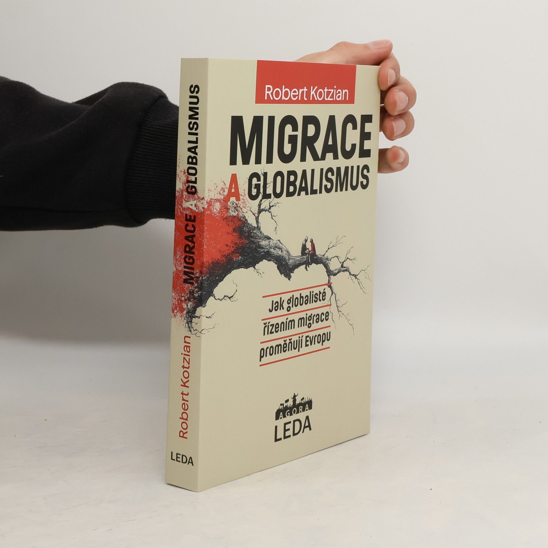 Migrace a globalismus