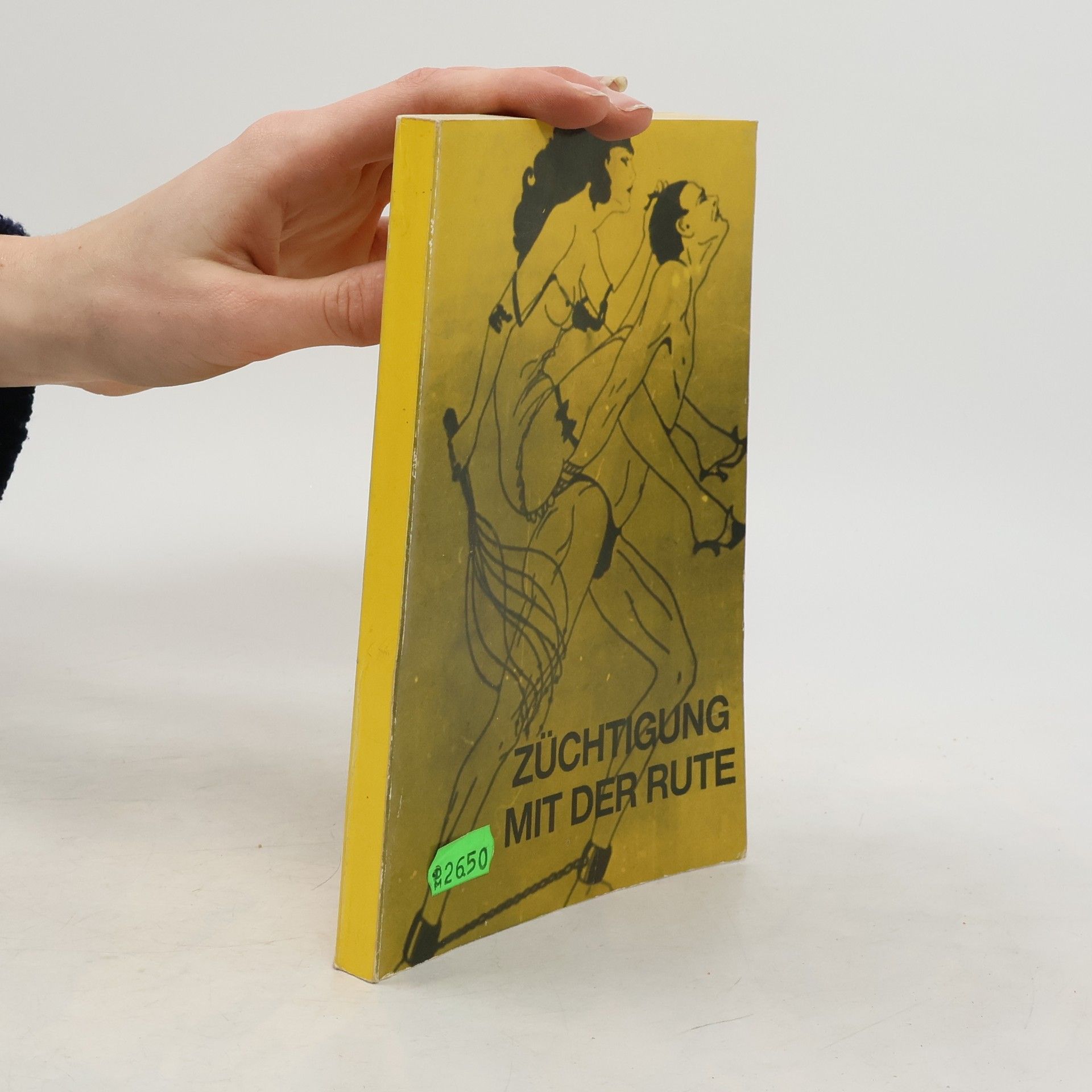 Autorenkollektiv Züchtigung mit der Rute