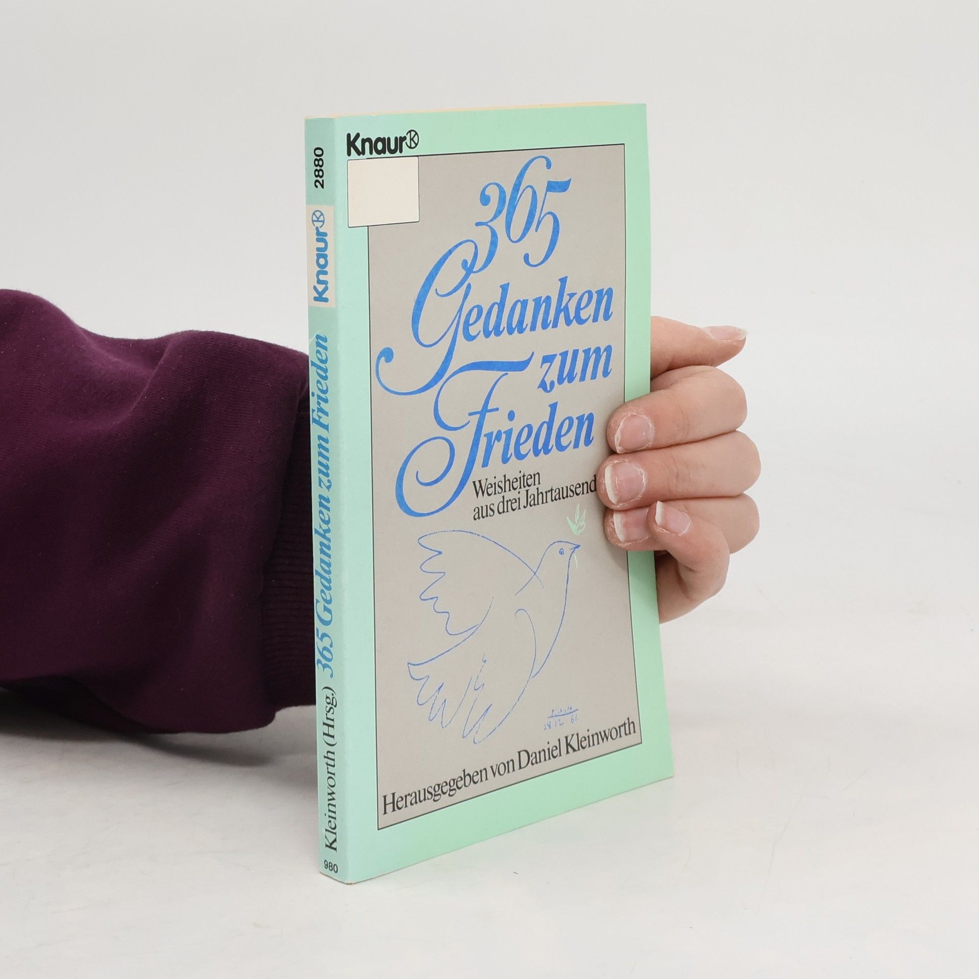 Daniel Kleinworth 365 Gedanken zum Frieden
