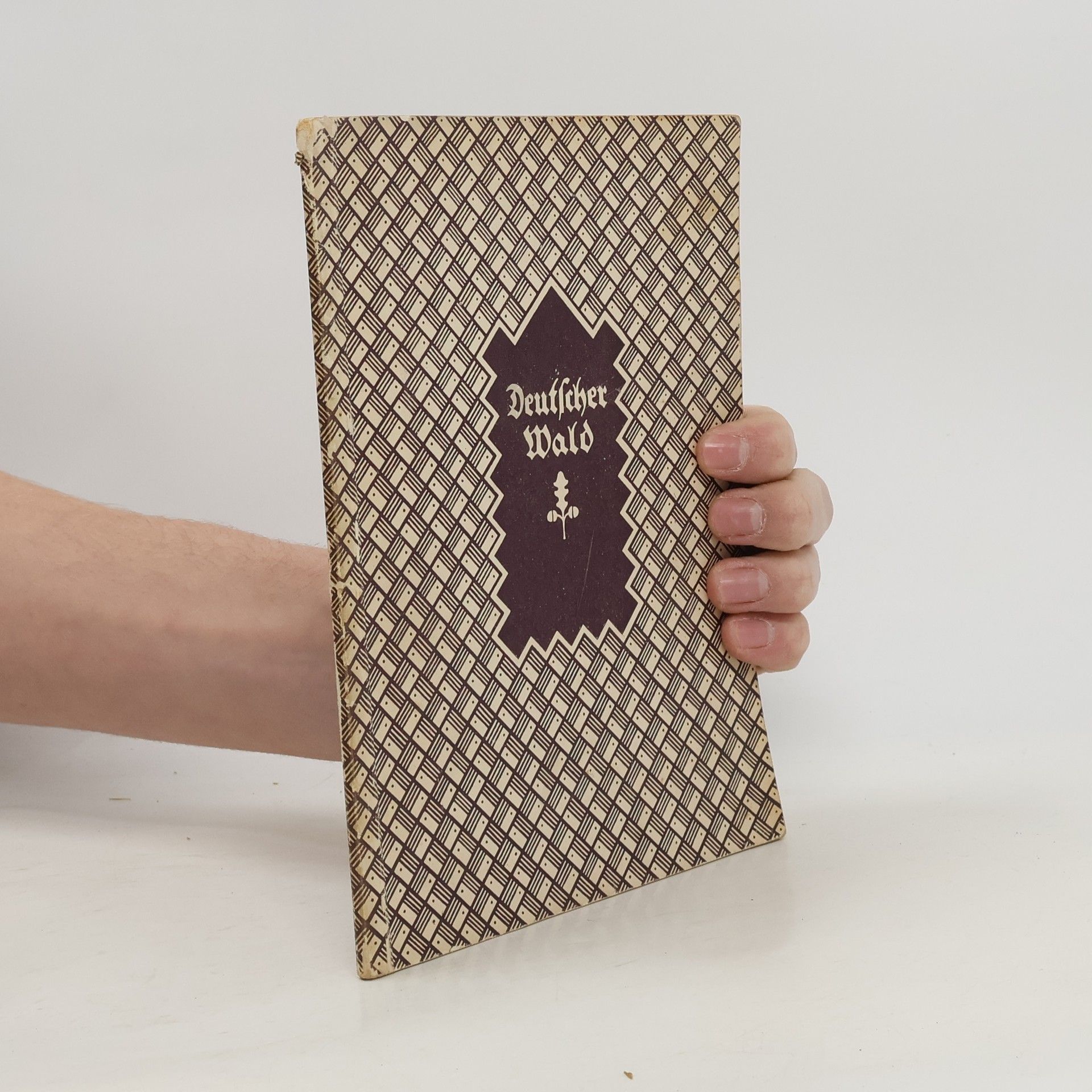 Wilhelm Heinrich Riehl Deutscher Wald in schönen Bildern