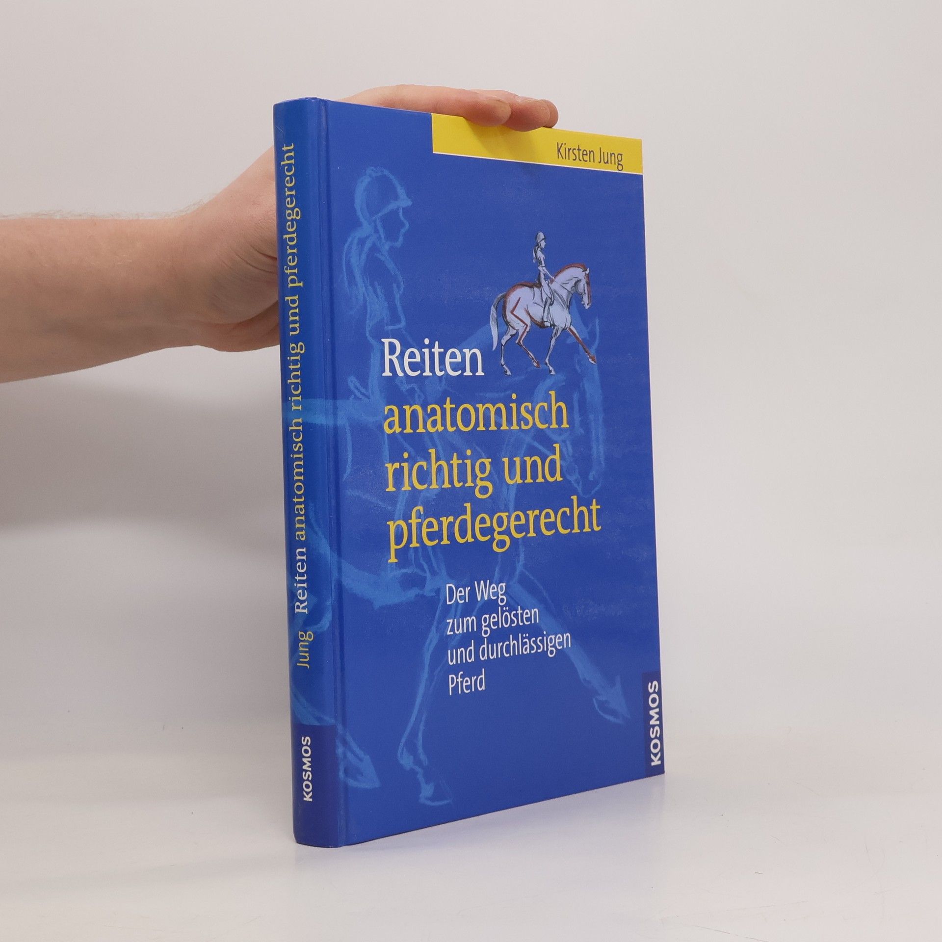 Reiten anatomisch richtig und pferdegerecht