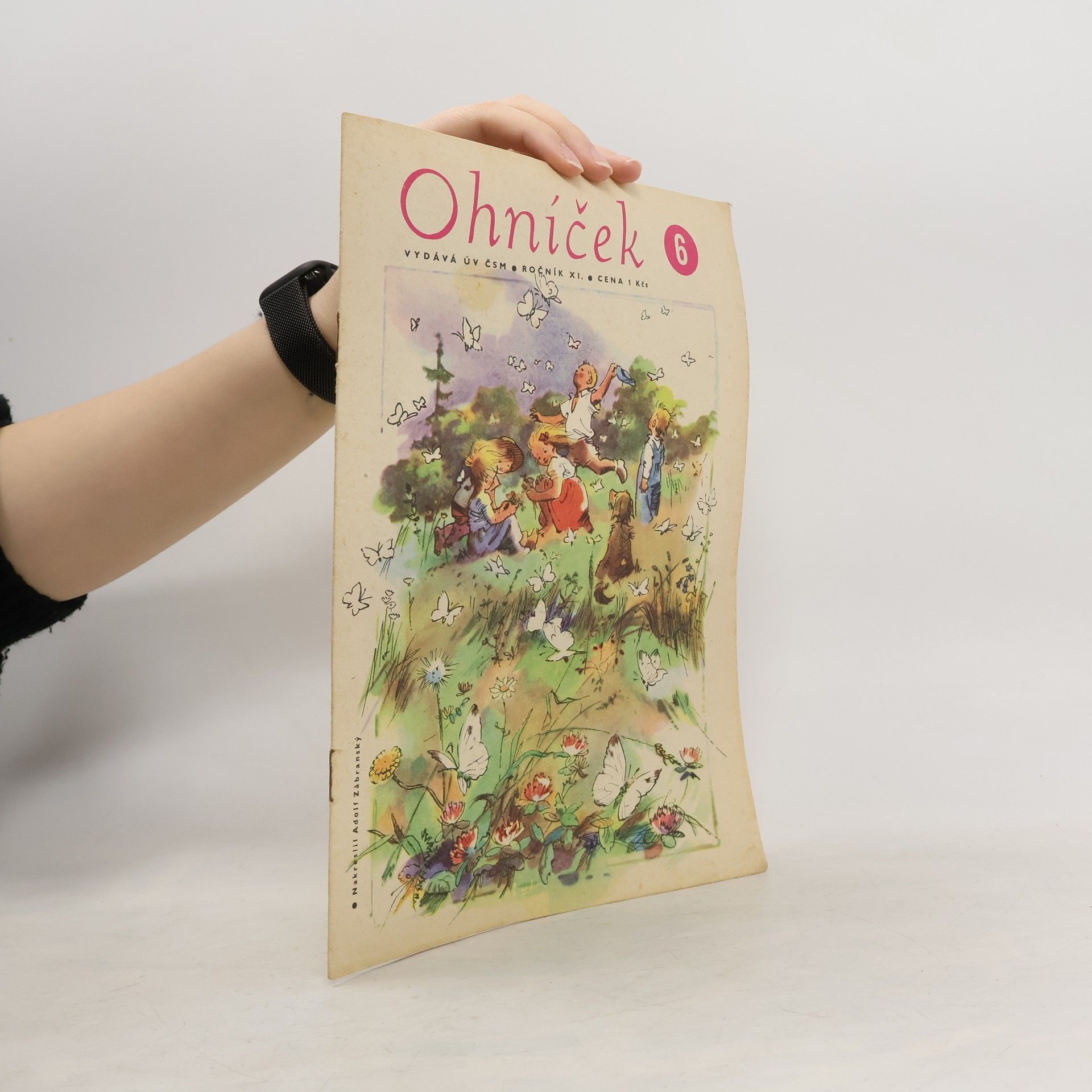 Adolf Zábranský Ohníček 6/XI.