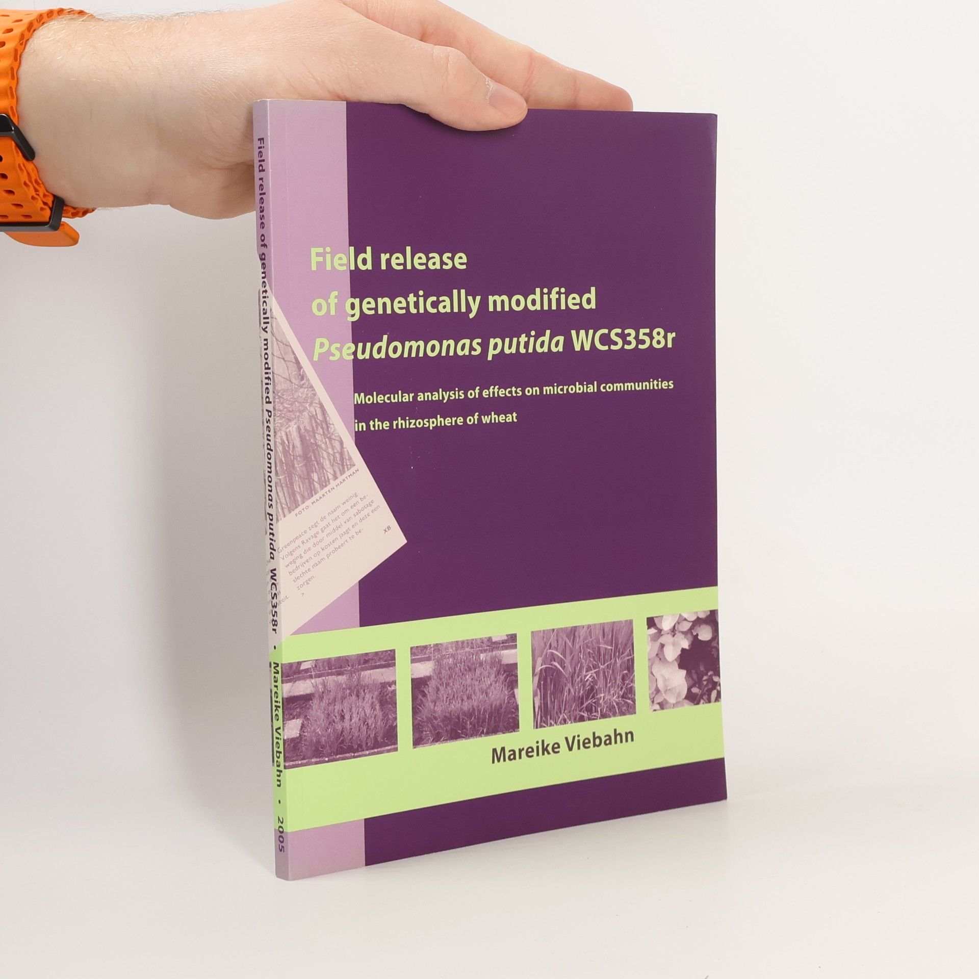 Field Release of Genetically Modified Pseudomonas Putida WCS358r