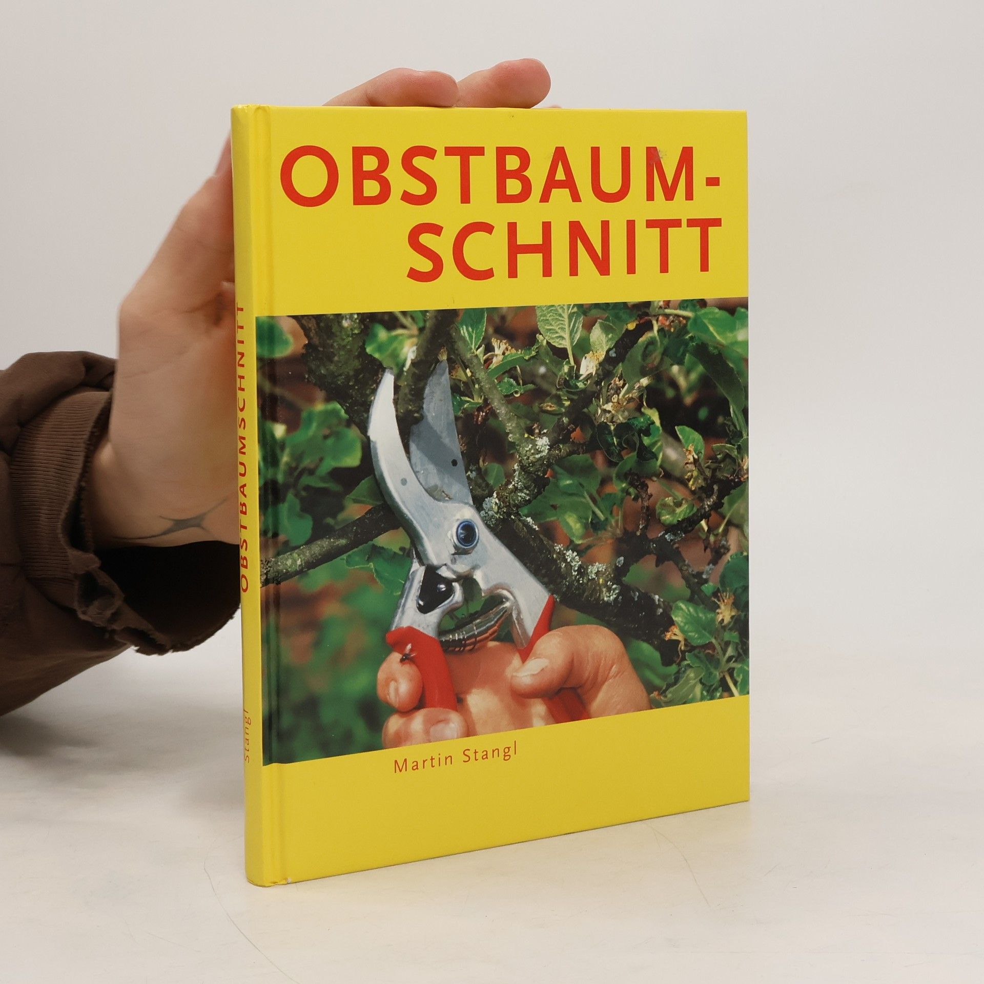 Martin Stangl Obstbaumschnitt