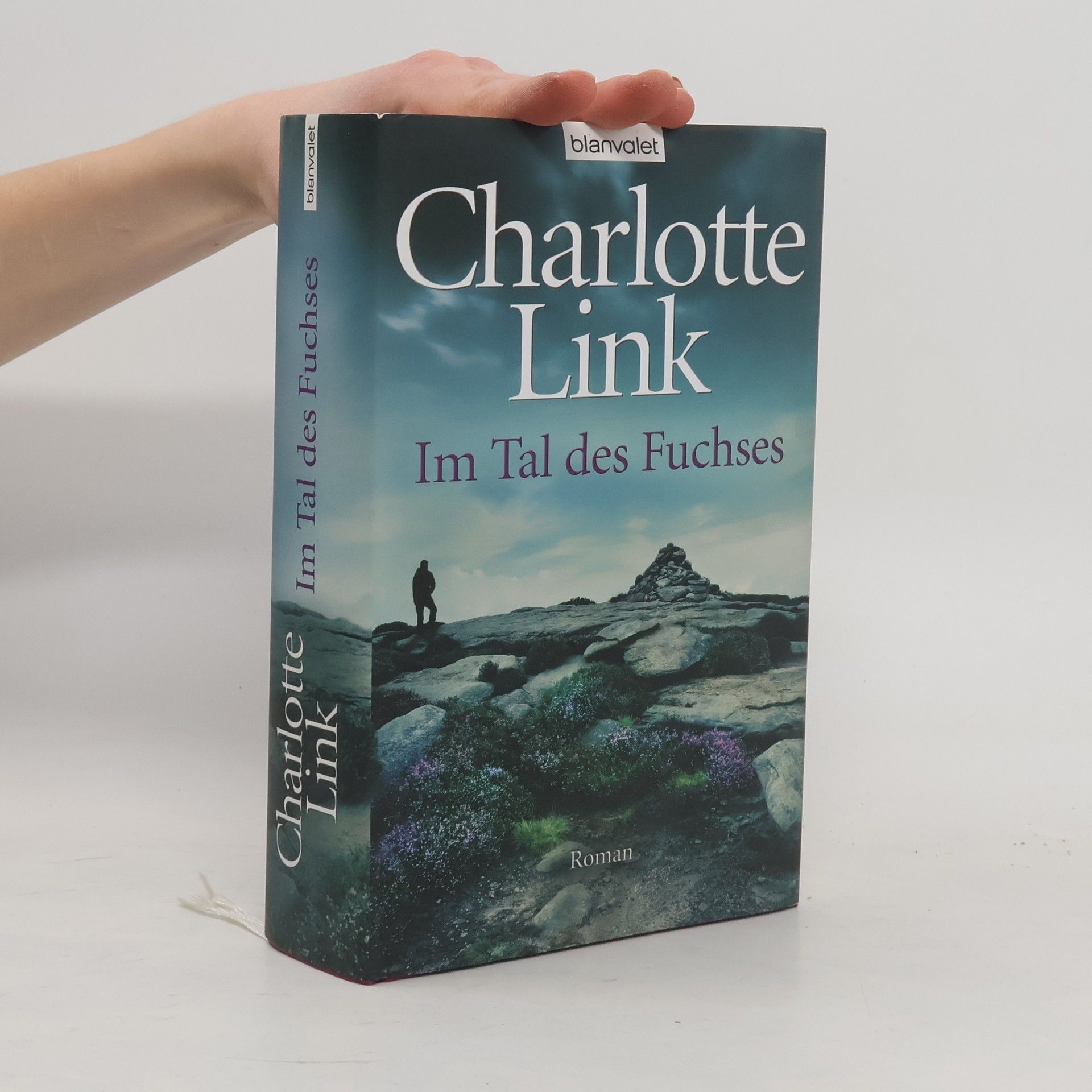 Charlotte Link Im Tal des Fuchses