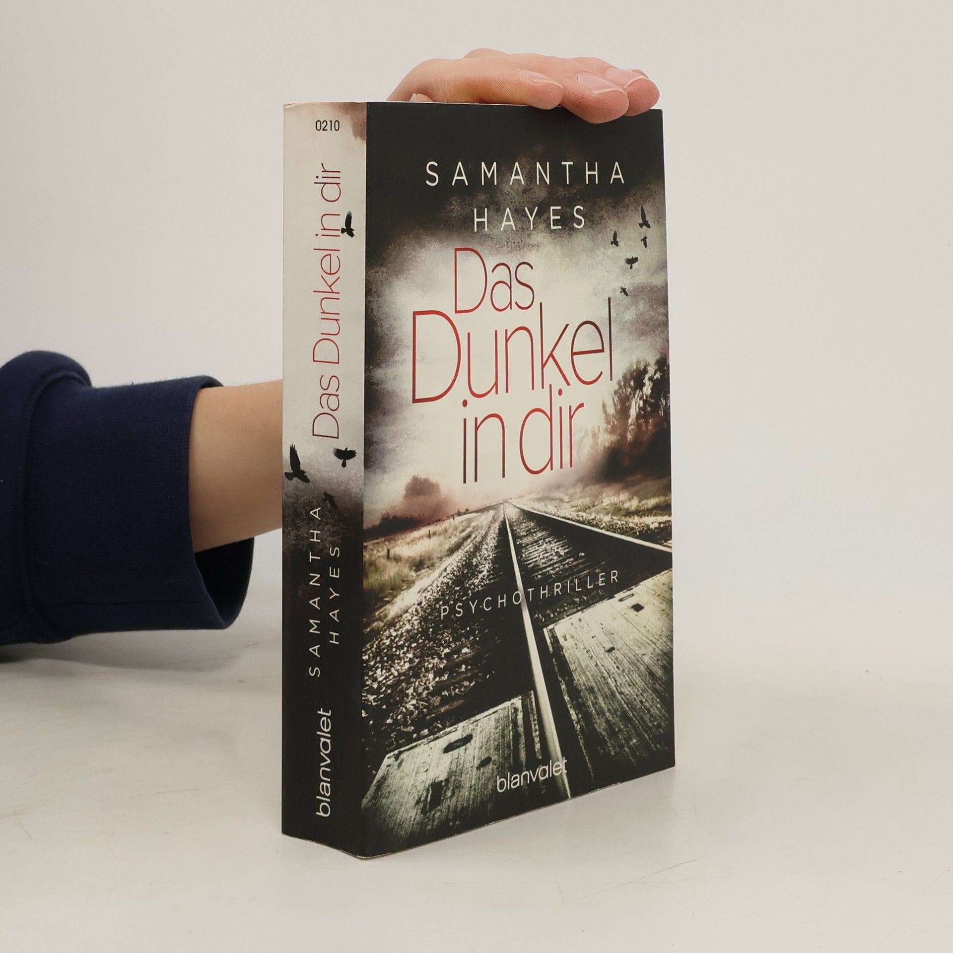 Sam Hayes Das Dunkel in dir