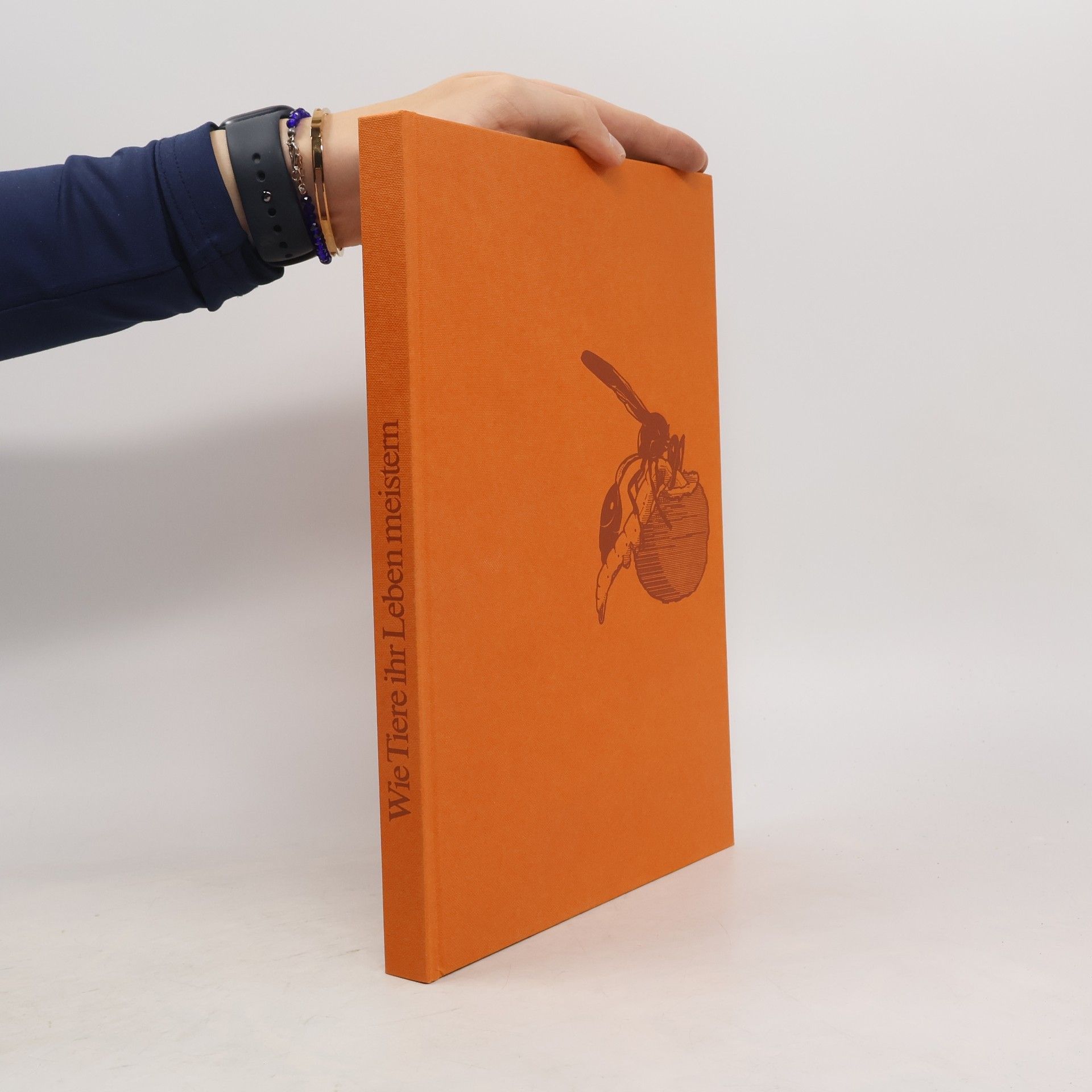 Wie Tiere ihr Leben meistern