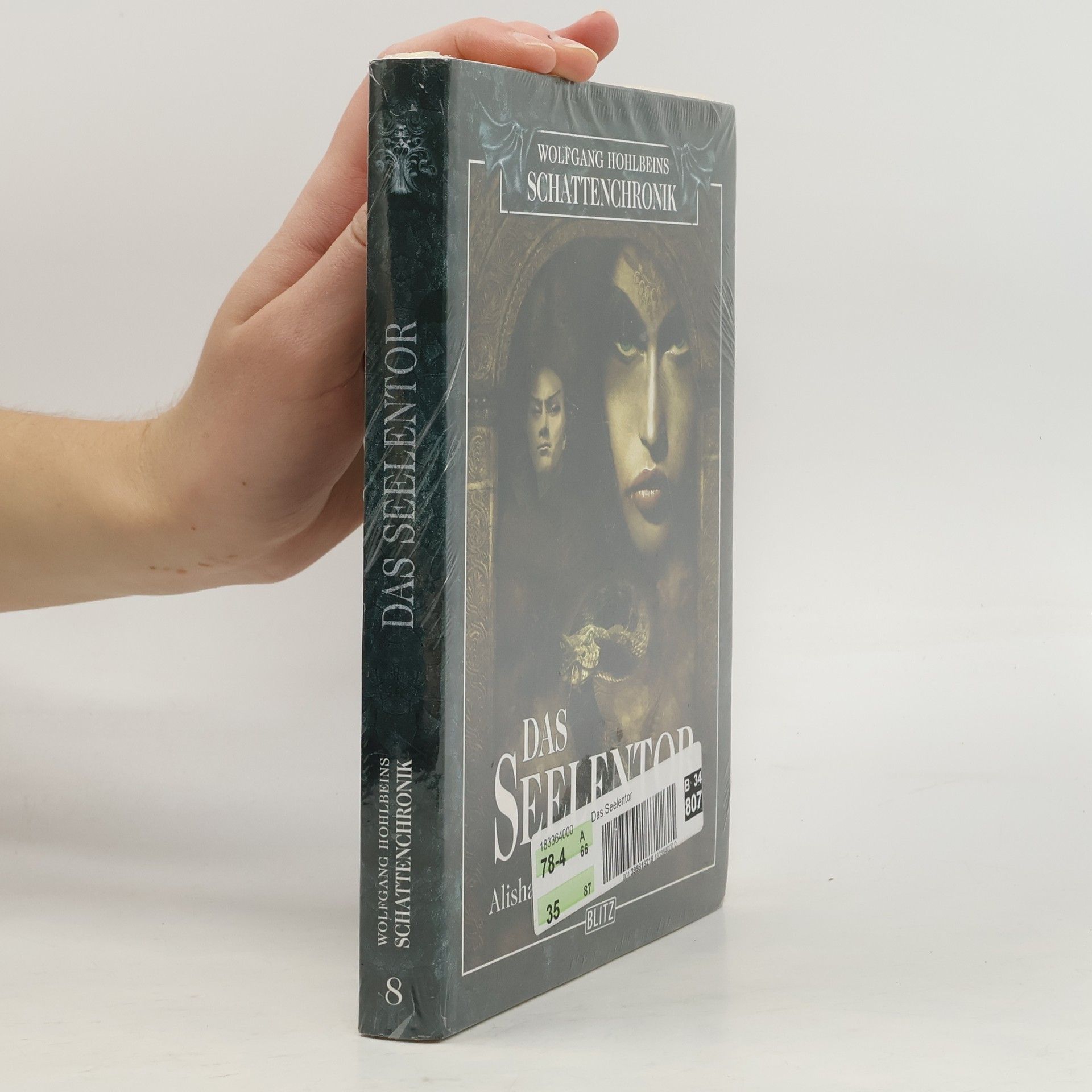 Alisha Bionda Wolfgang Hohlbeins Schattenchronik 8. Das Seelentor