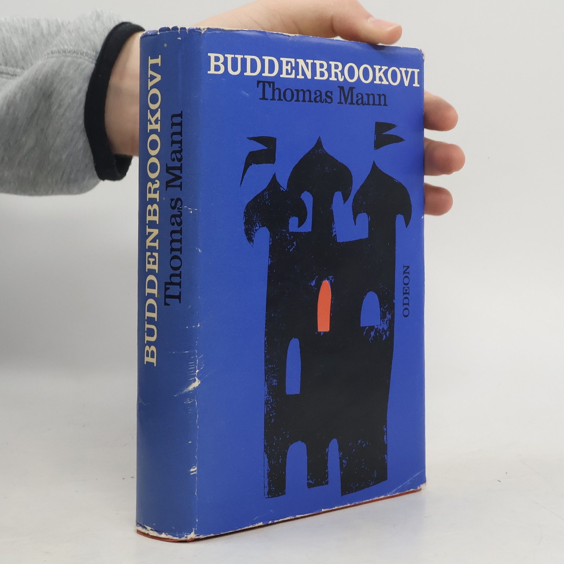 Thomas Mann Buddenbrookovi