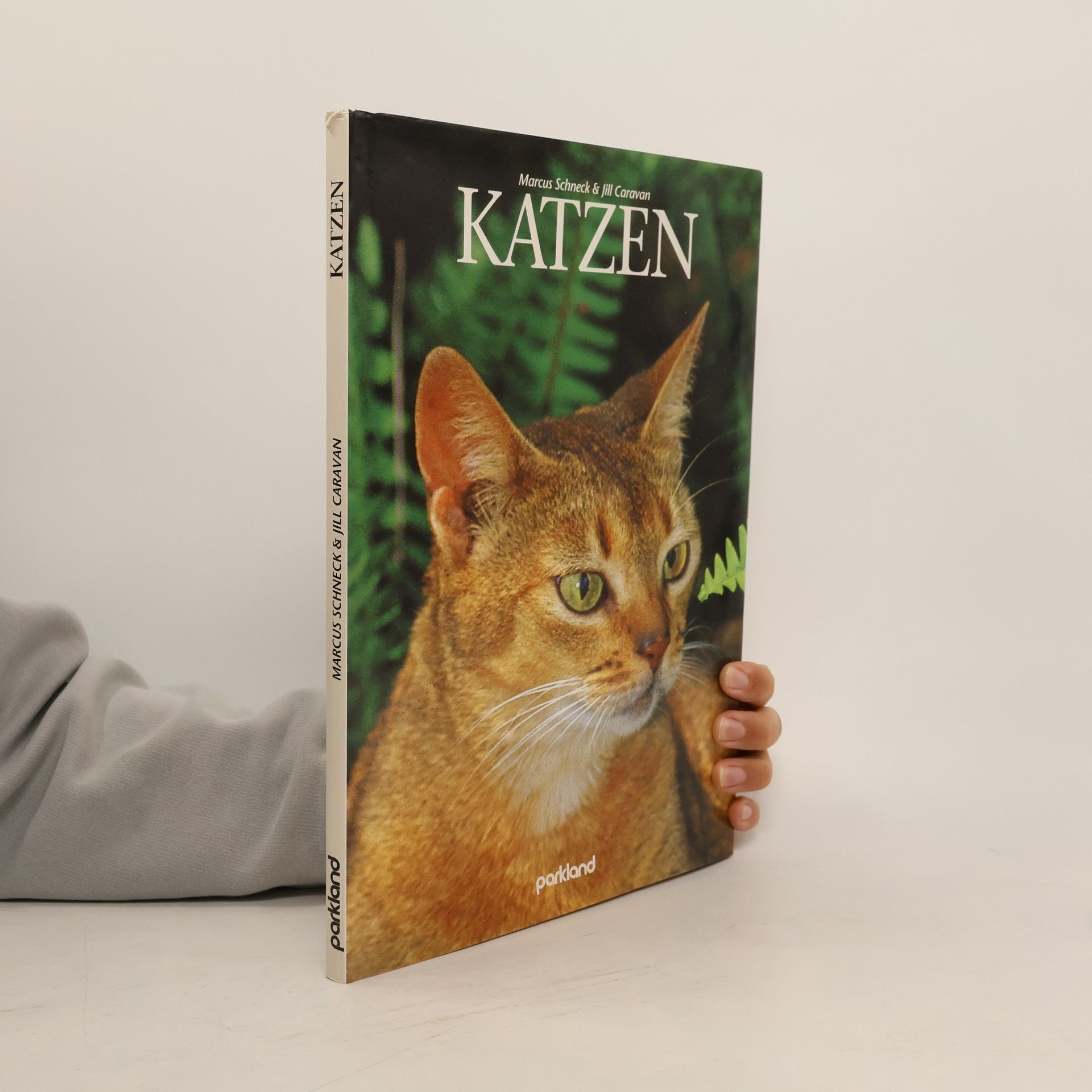 Marcus Schneck Katzen
