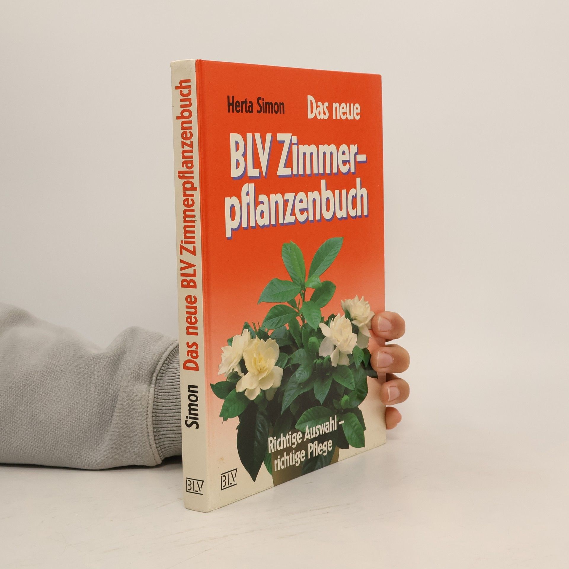 Das neue BLV-Zimmerpflanzenbuch