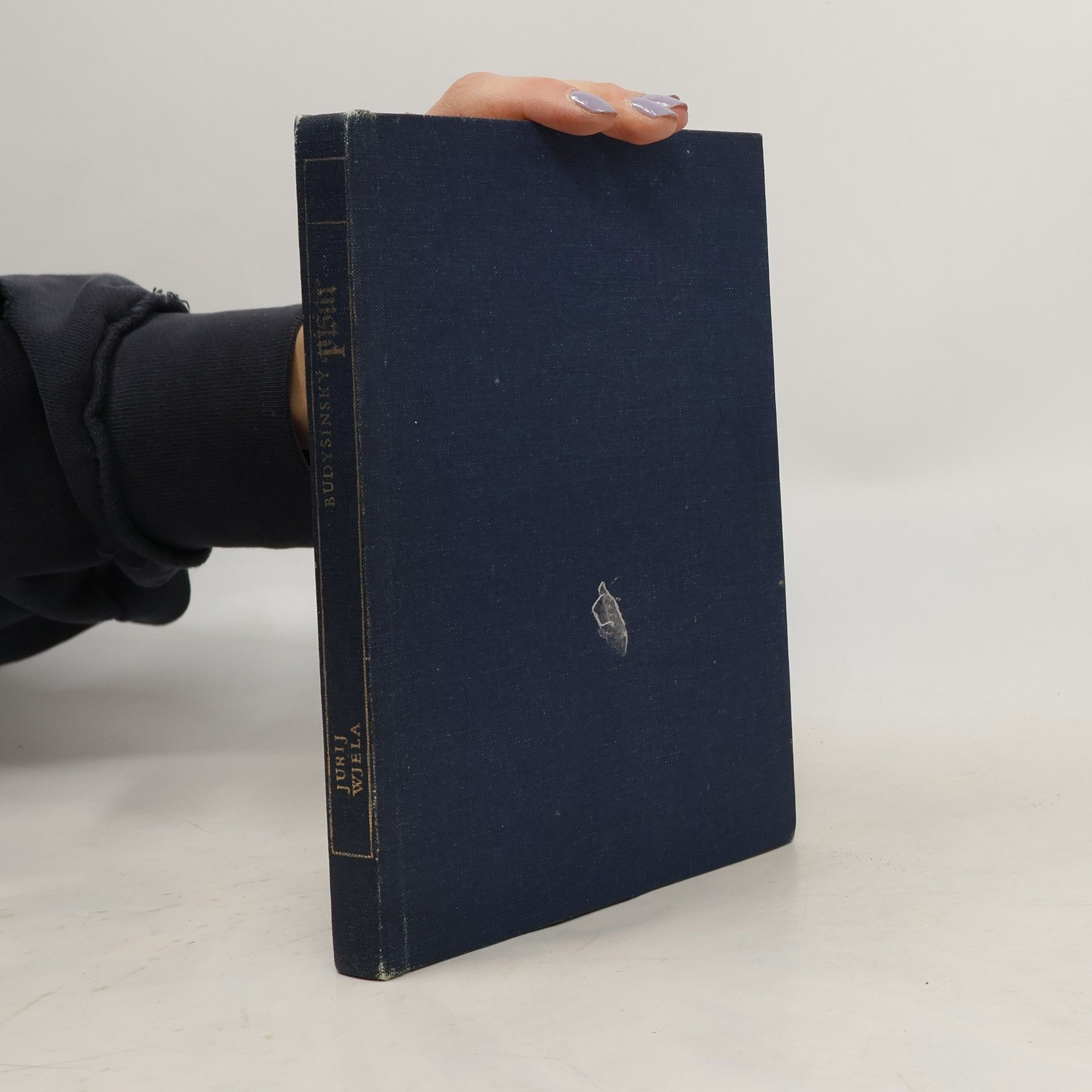 Budyšínský písař