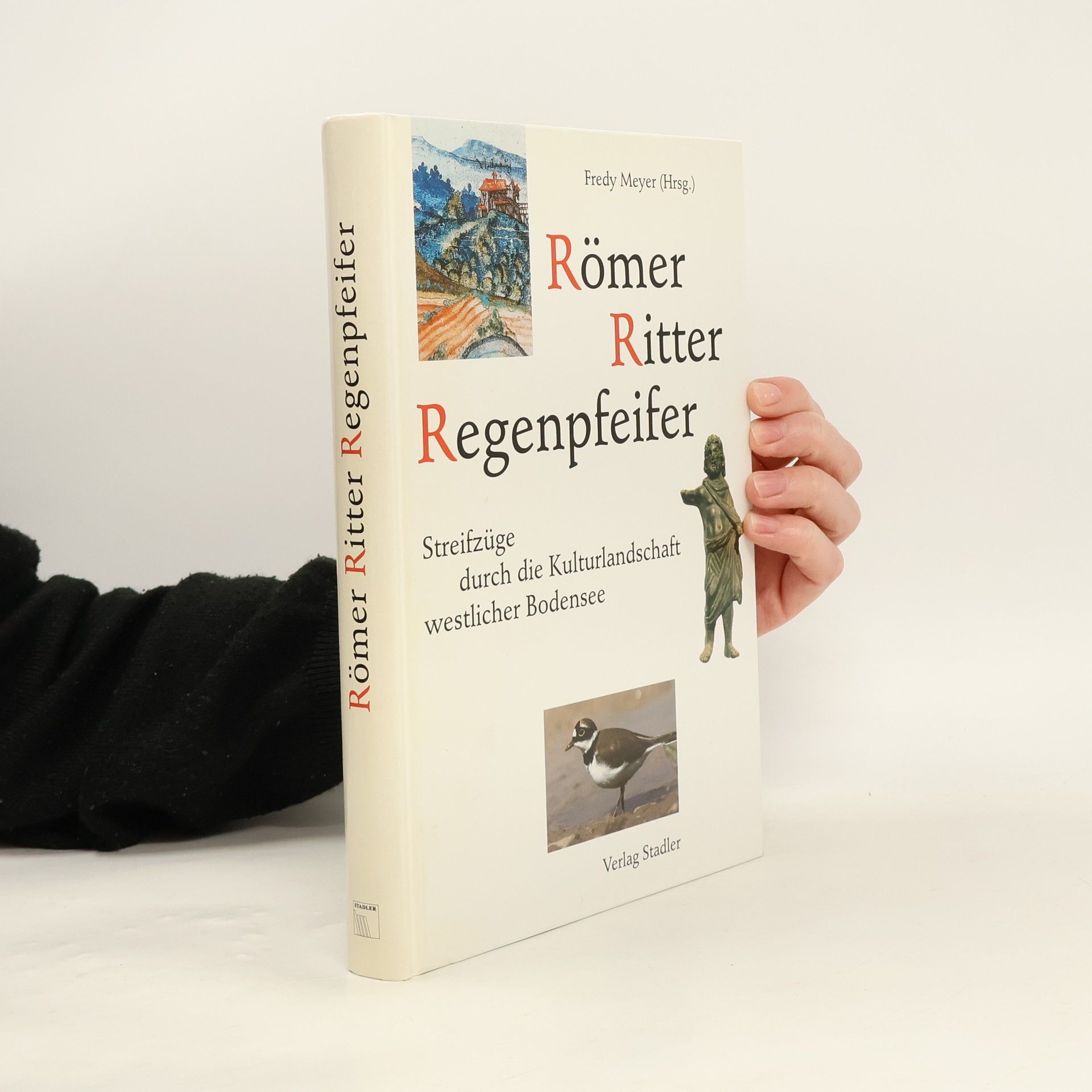 Römer, Ritter, Regenpfeifer