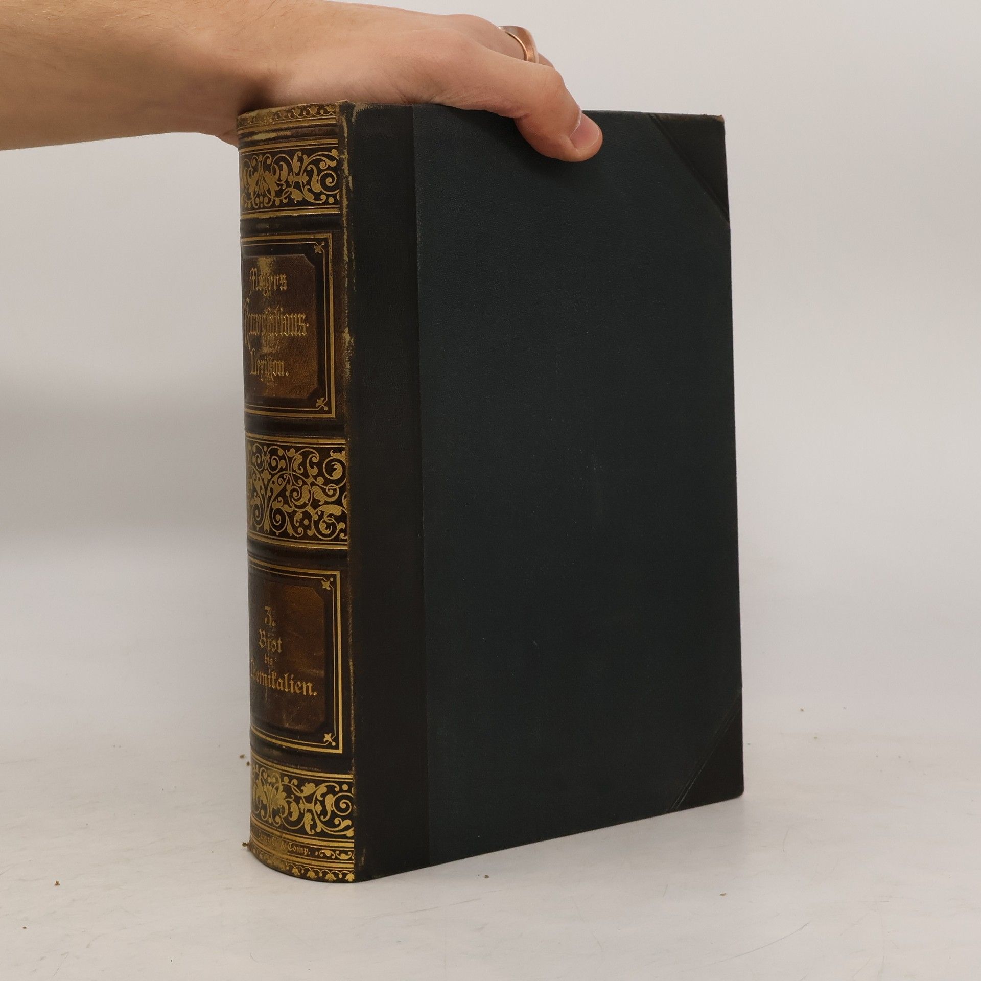 Kolektív autorov Meyers Konversations-Lexikon 3