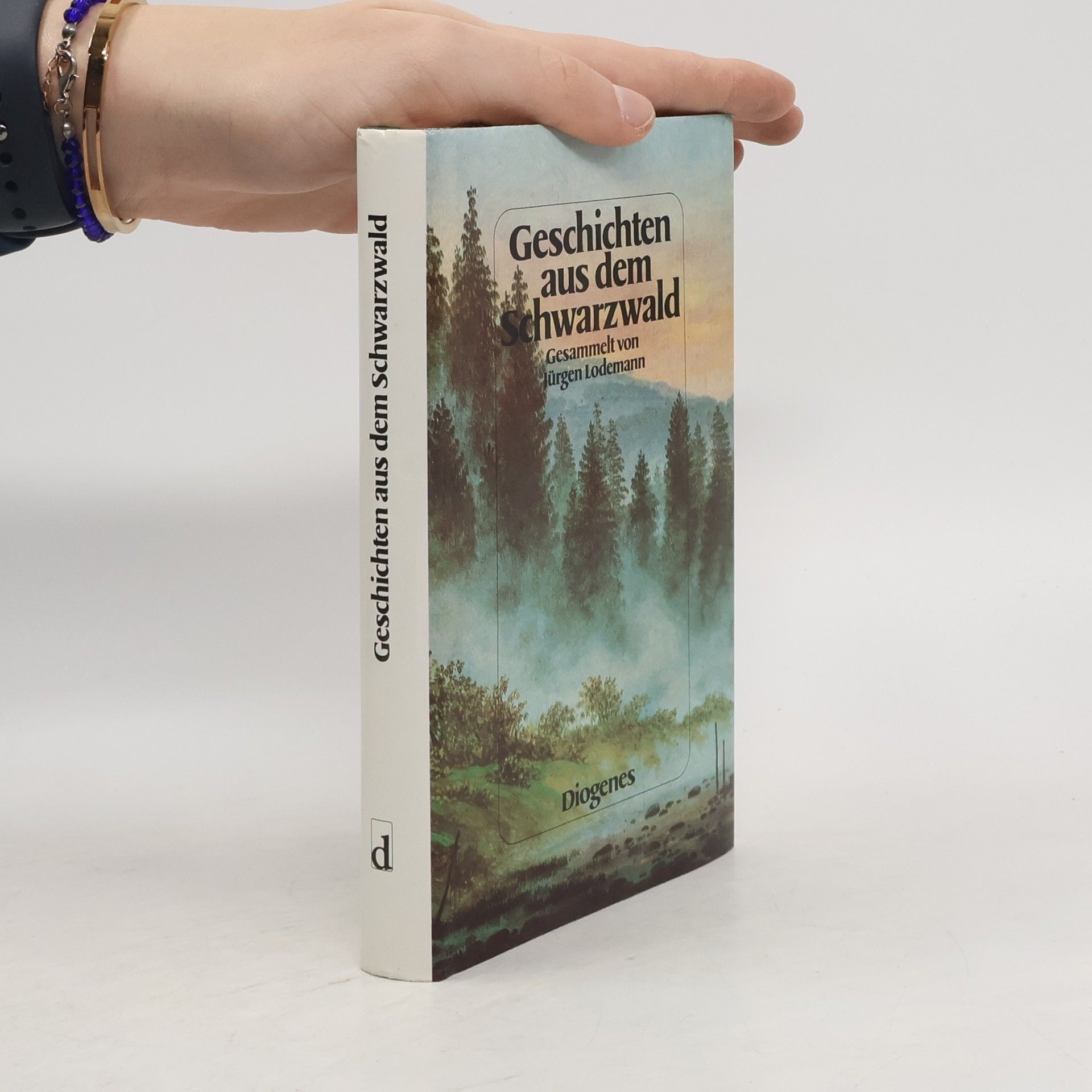 Wilhelm Hauff Geschichten aus dem Schwarzwald