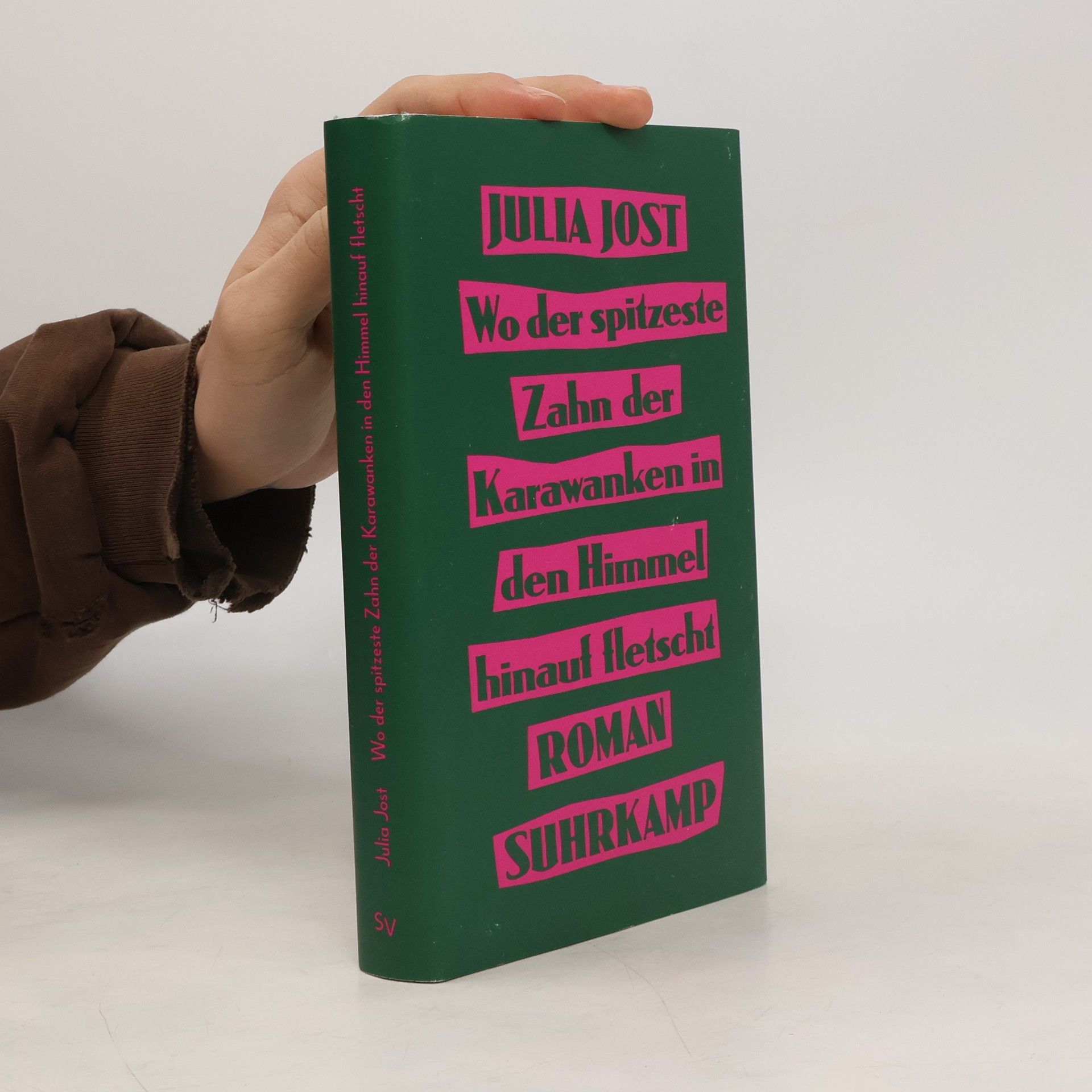 Julia Jost Wo der spitzeste Zahn der Karawanken in den Himmel hinauf fletscht