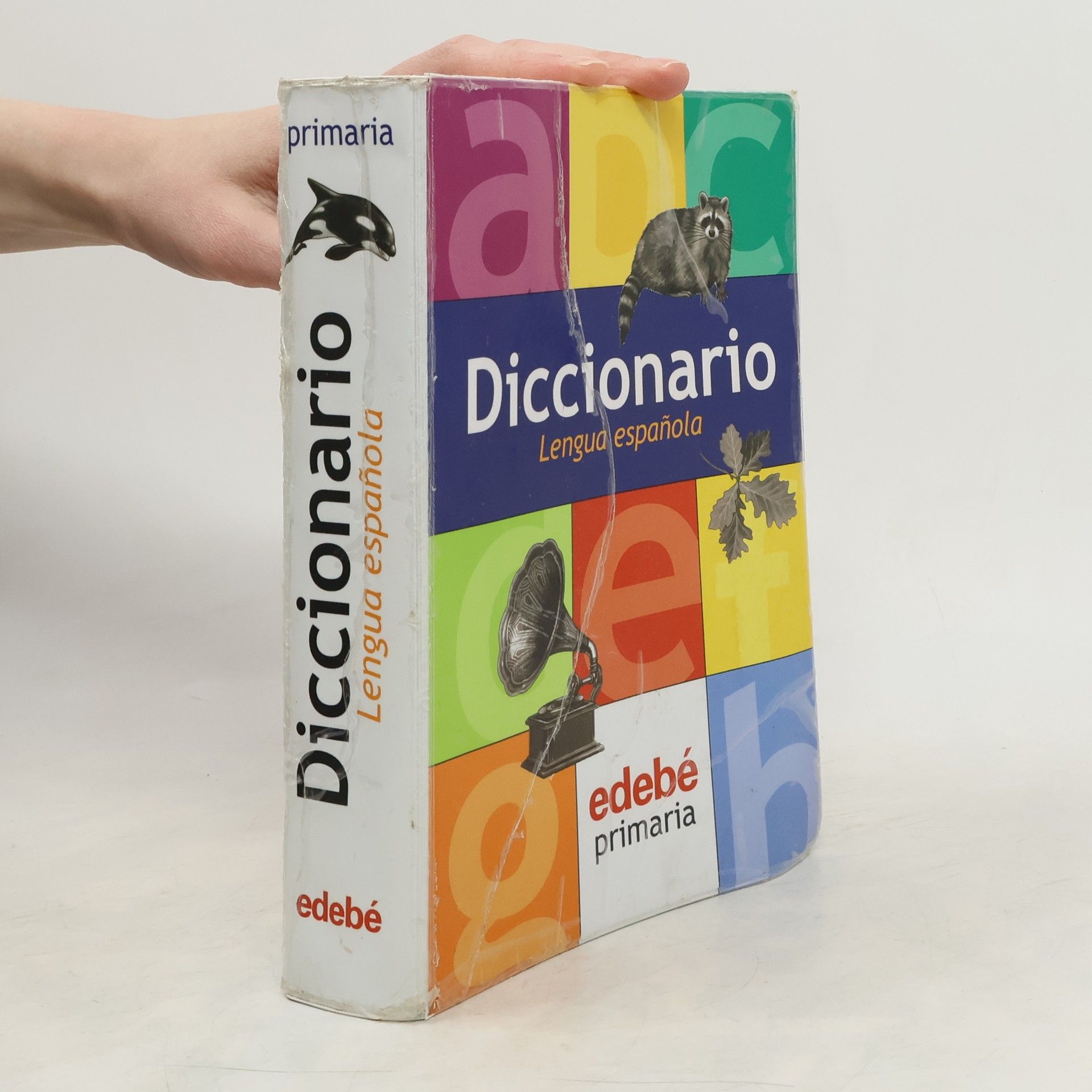 Autorenkollektiv Diccionario