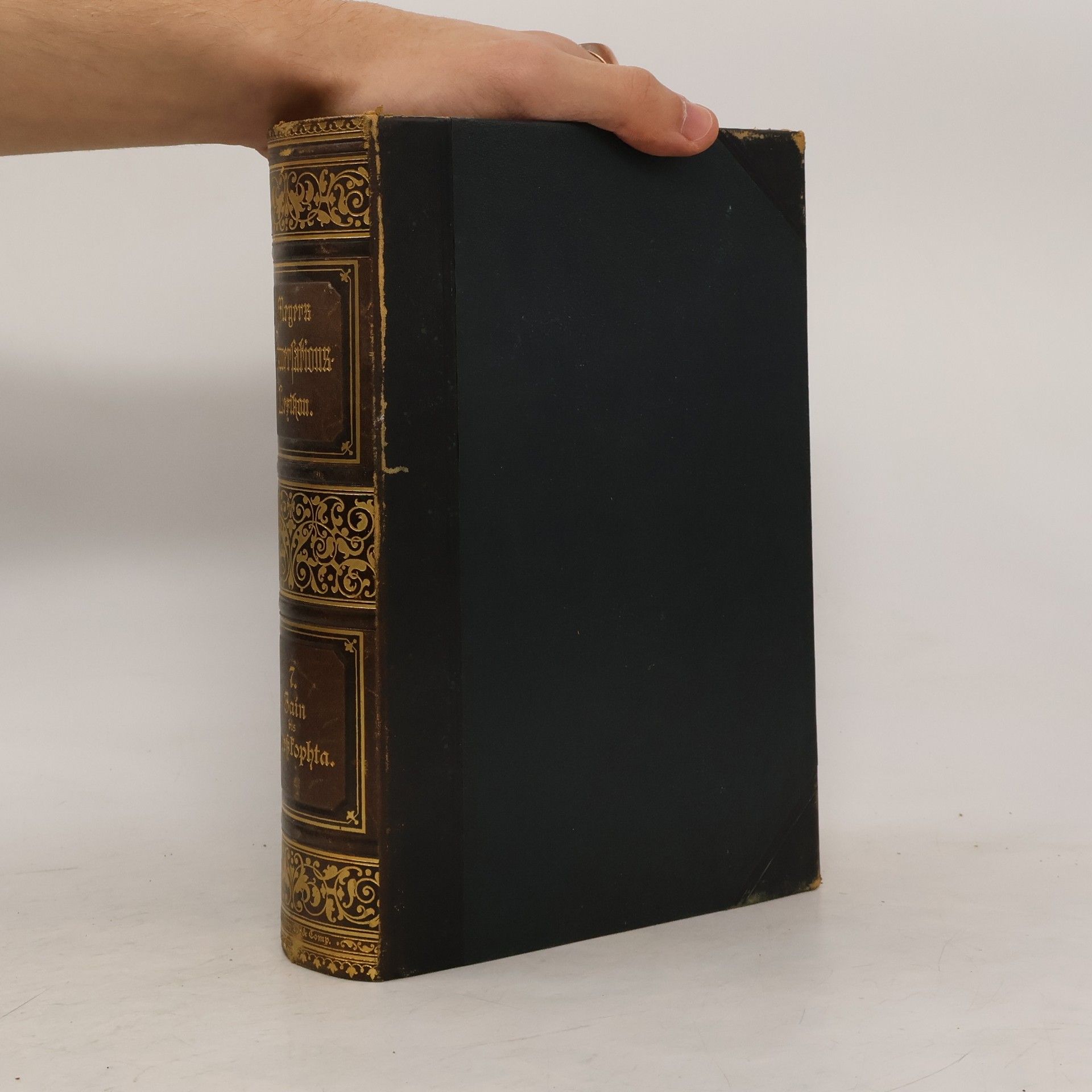 Autores varios Meyers Konversations-Lexikon 7