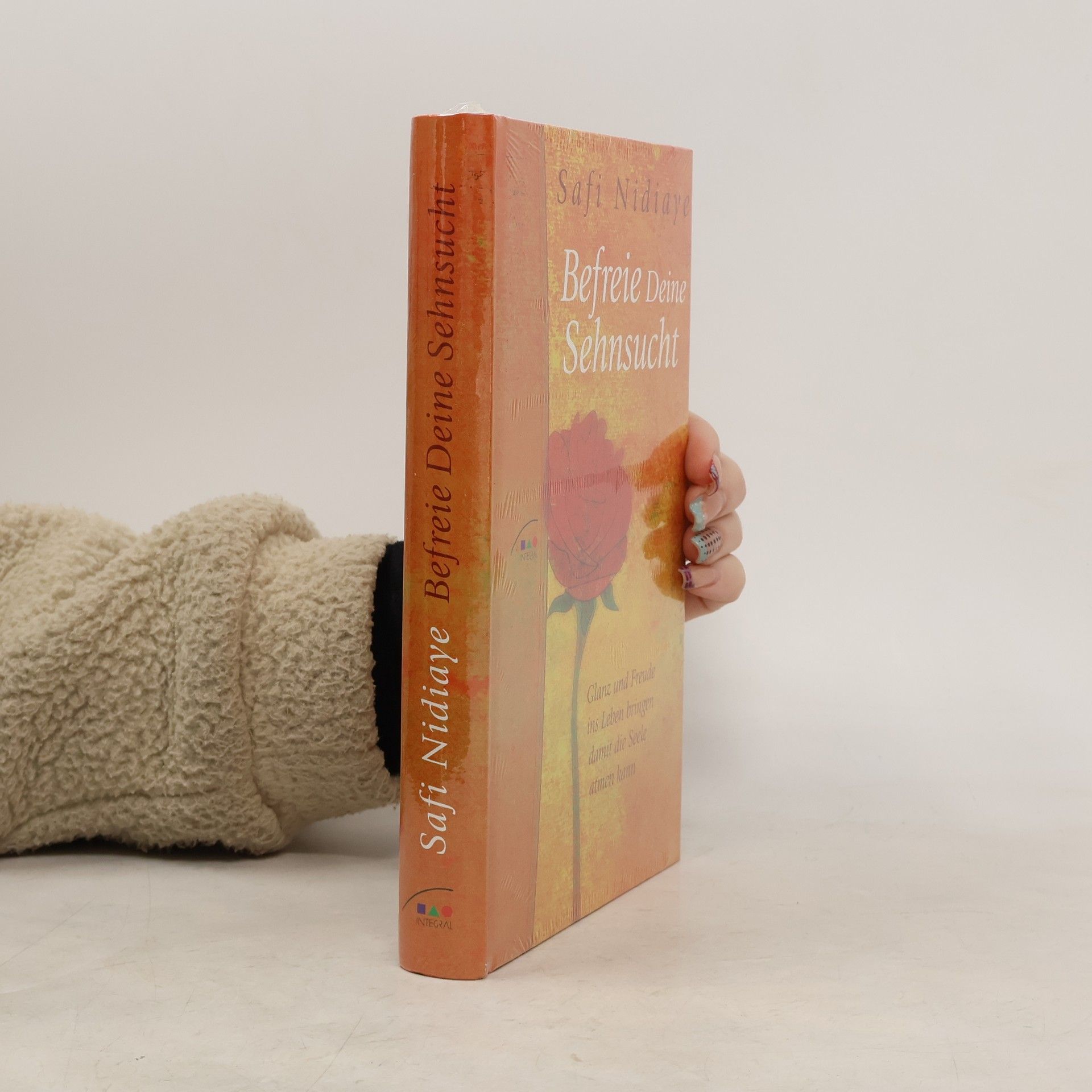 Kolektiv autorů Befreie Deine Sehnsucht