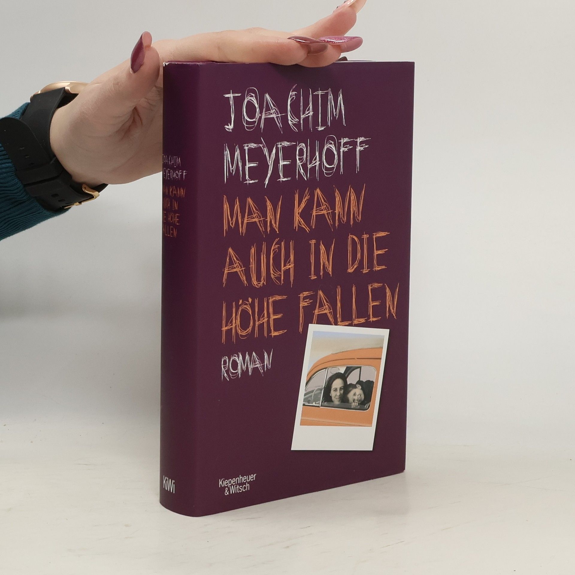 Joachim Meyerhoff Man kann auch in die Höhe fallen