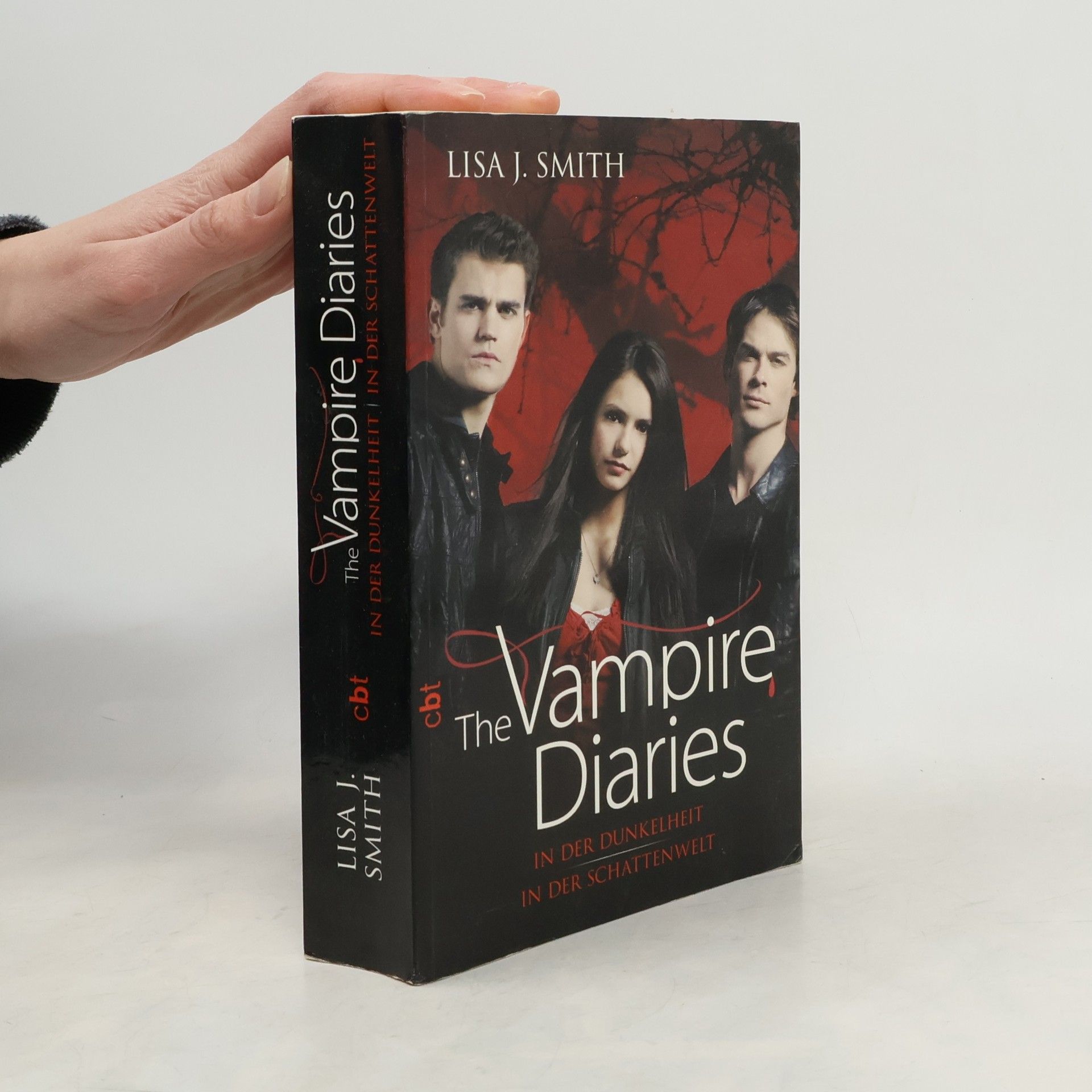 Lisa J. Smith The vampire diaries - In der Dunkelheit