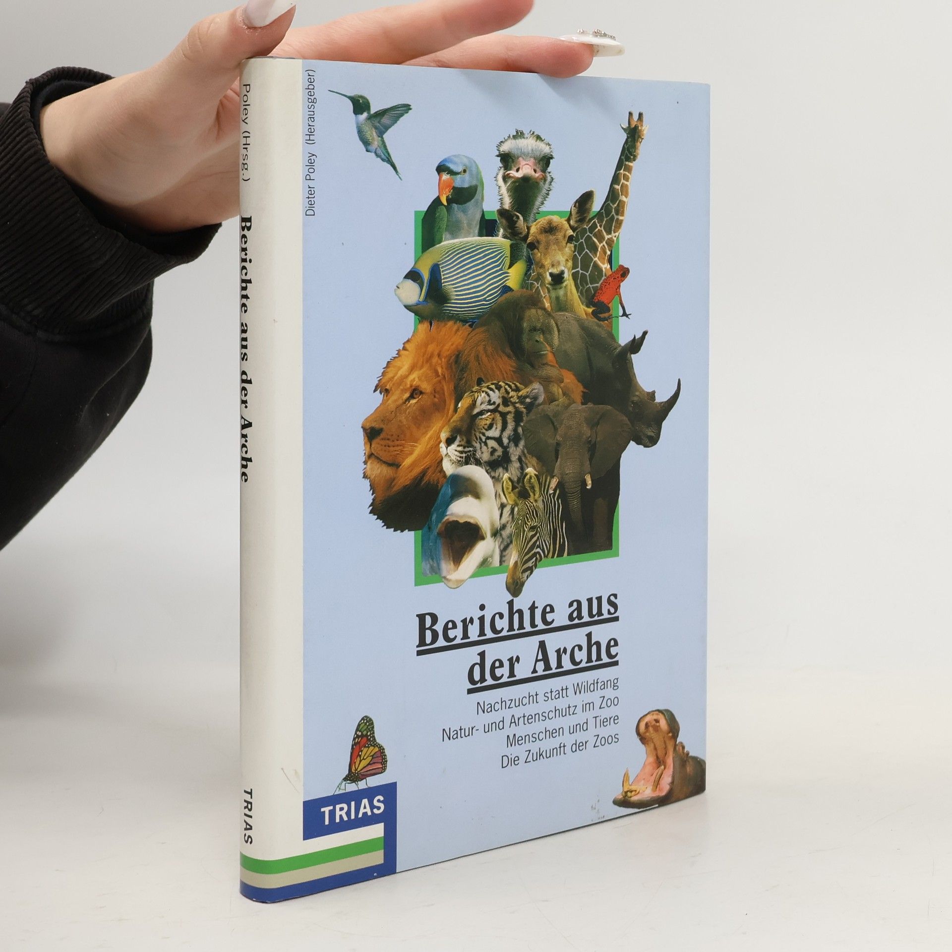 Berichte aus der Arche